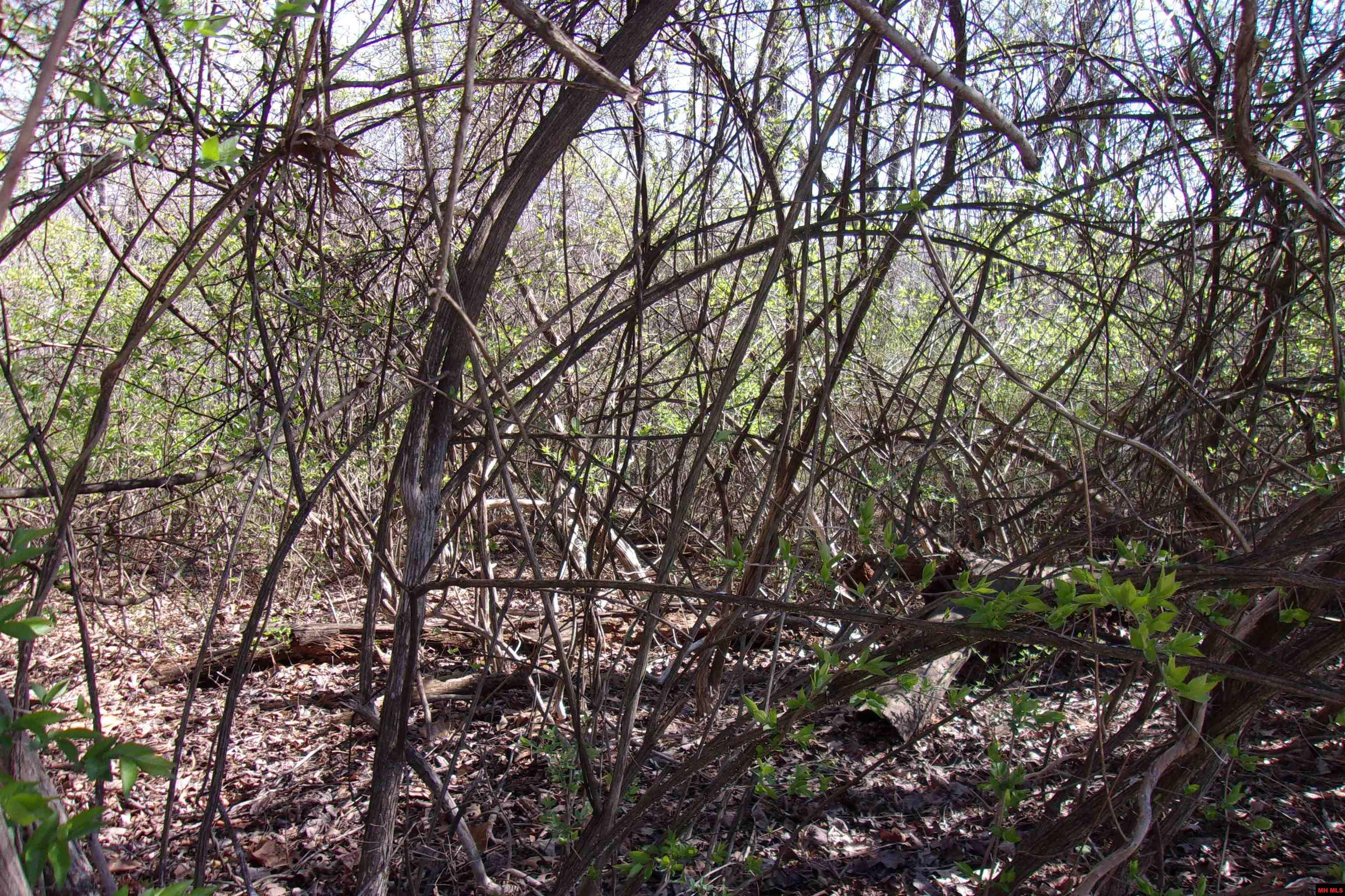 760-19129-000 Alford Drive