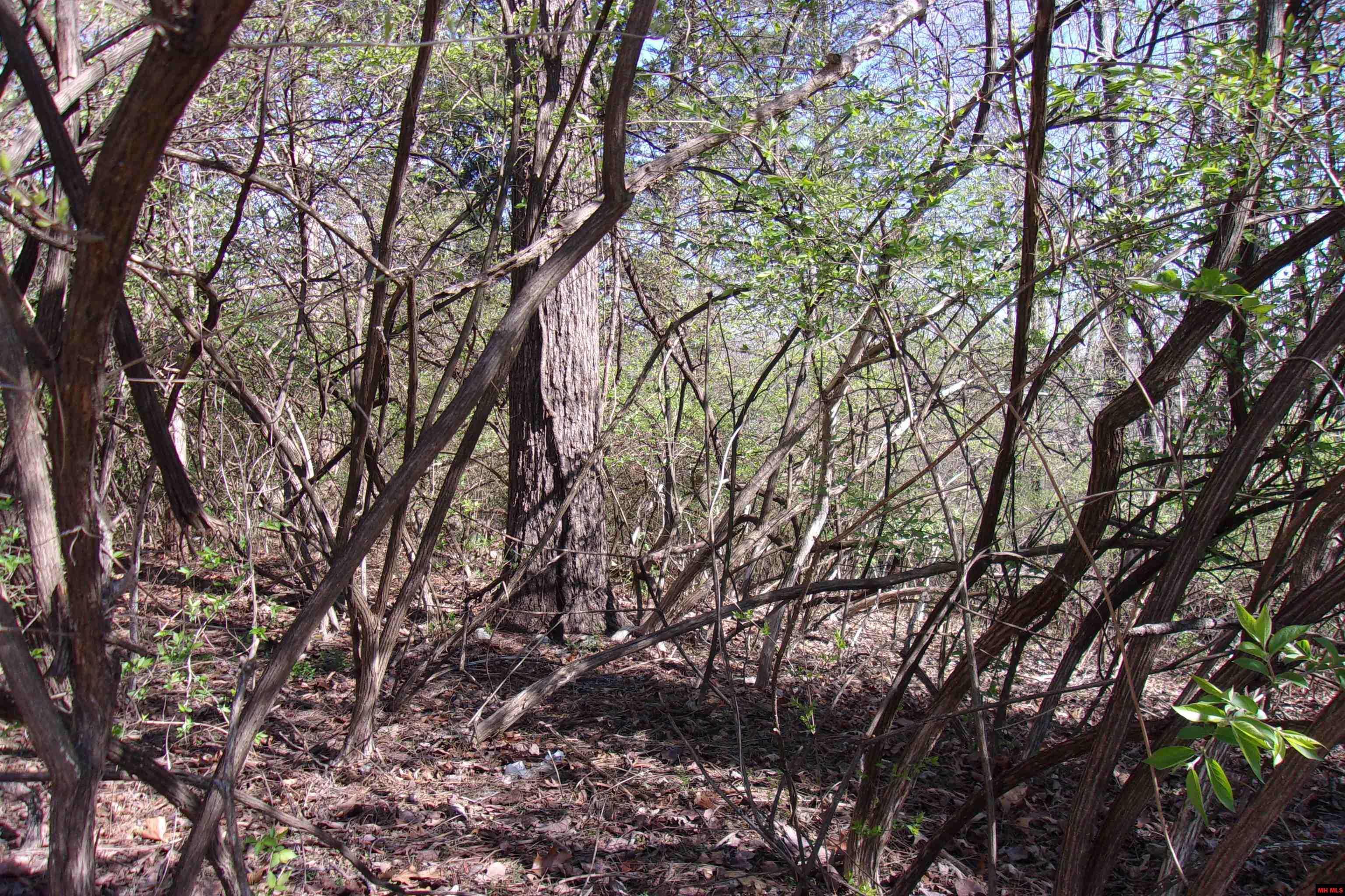 760-19129-000 Alford Drive