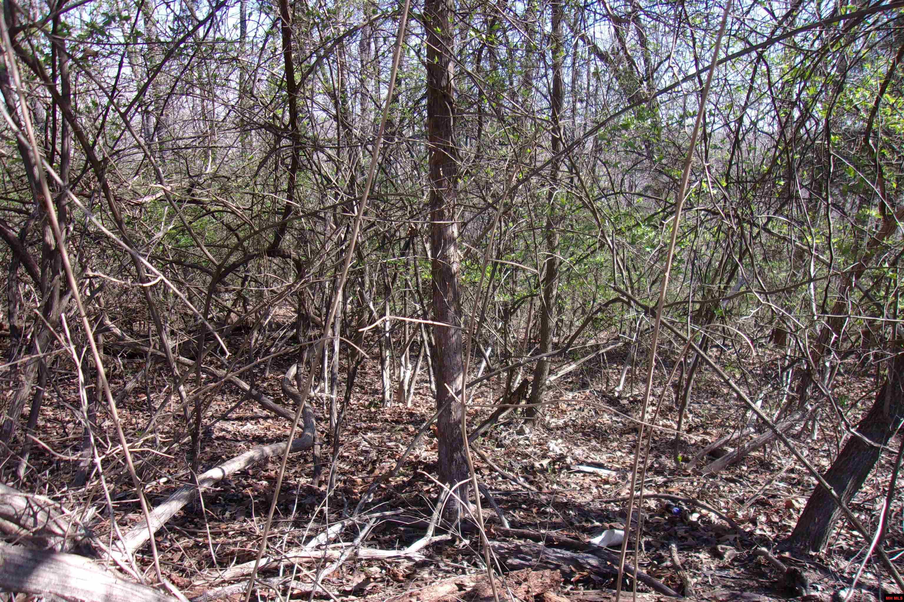 760-19129-000 Alford Drive