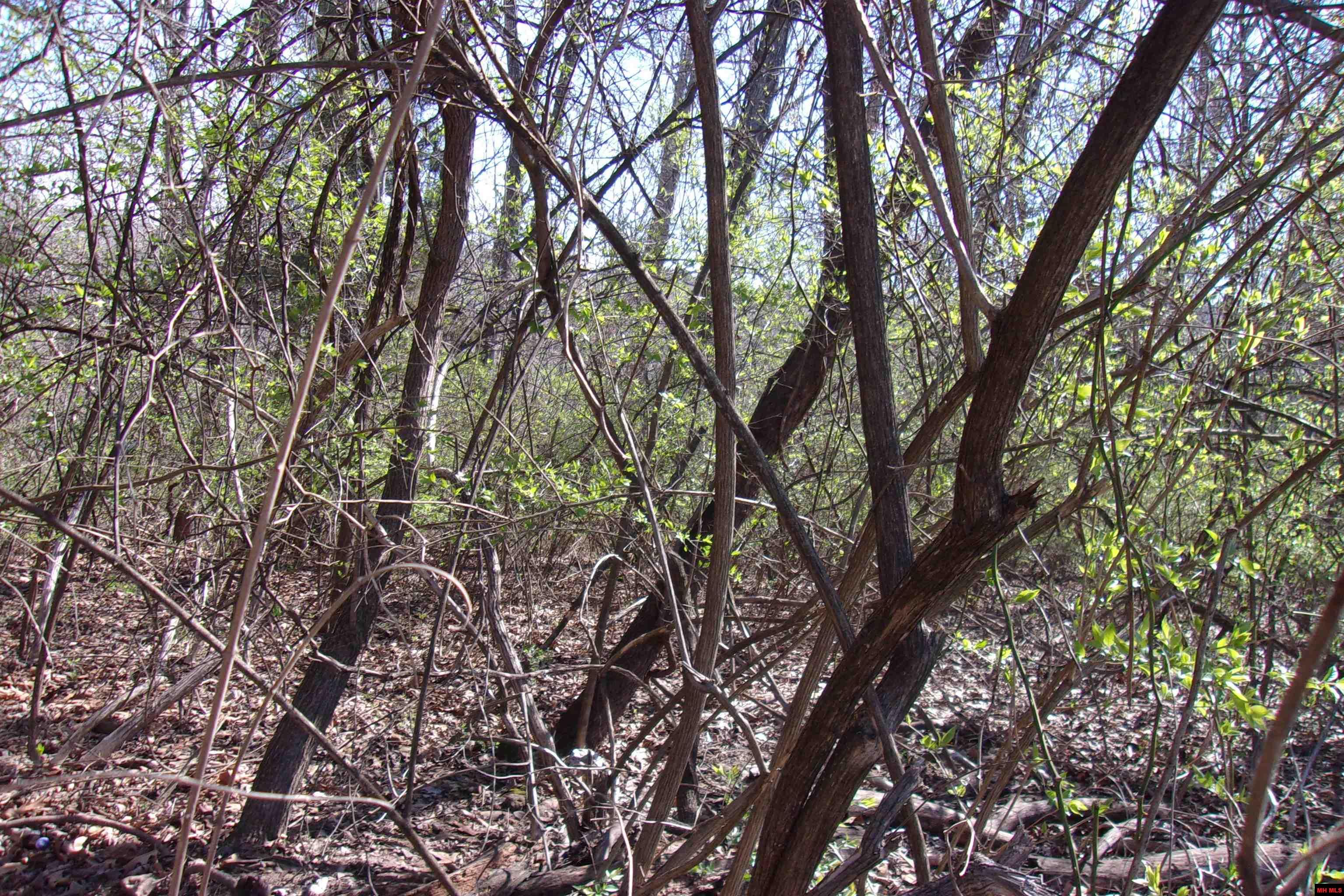 760-19129-000 Alford Drive