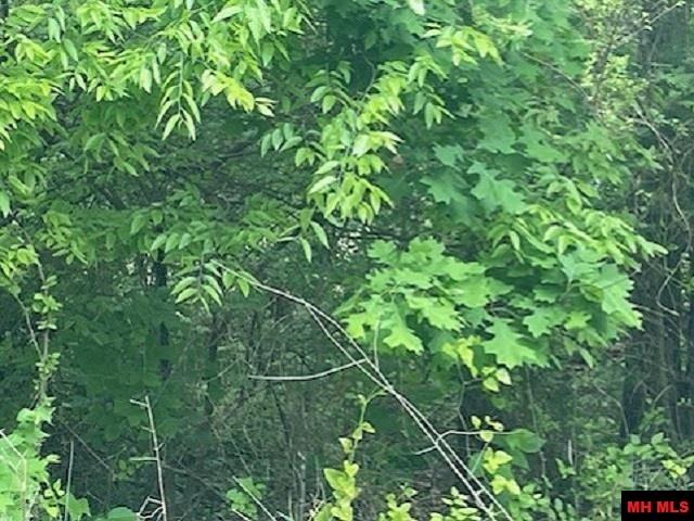 Lot 58 Town Park Way