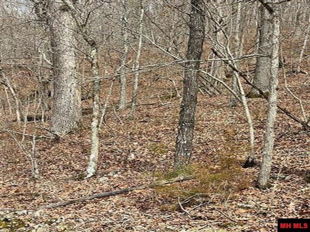 001-04964-003 Jimmy Creek Trail