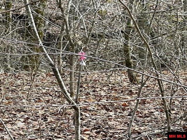 001-04964-003 Jimmy Creek Trail