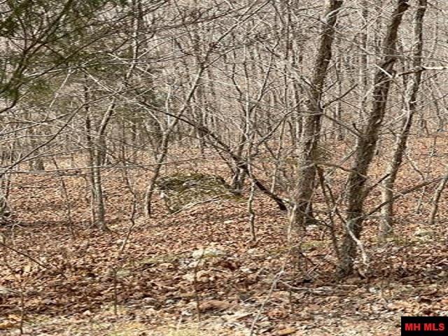 001-04964-003 Jimmy Creek Trail