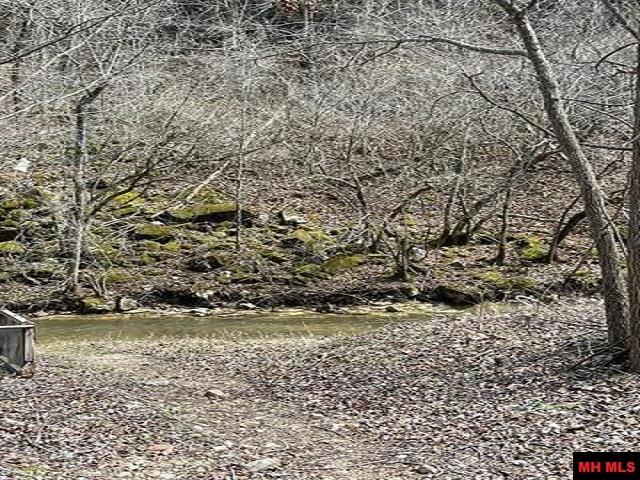 001-04964-003 Jimmy Creek Trail