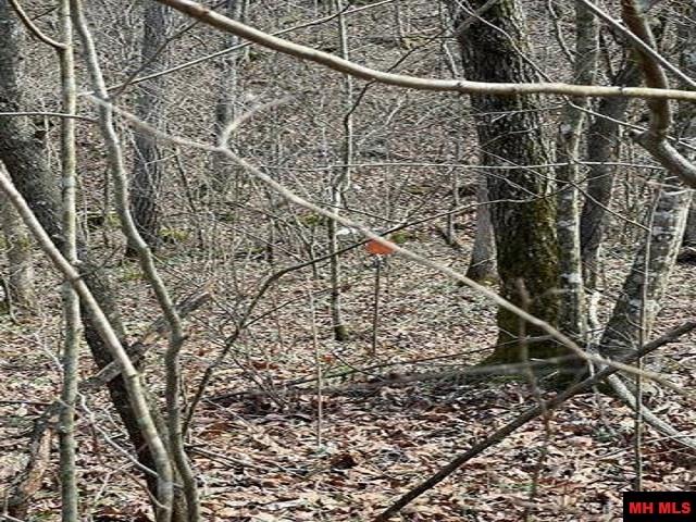 001-04964-003 Jimmy Creek Trail