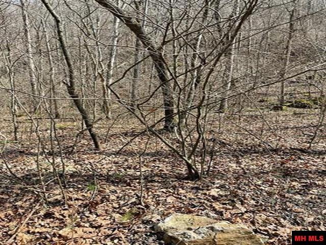 001-04964-003 Jimmy Creek Trail