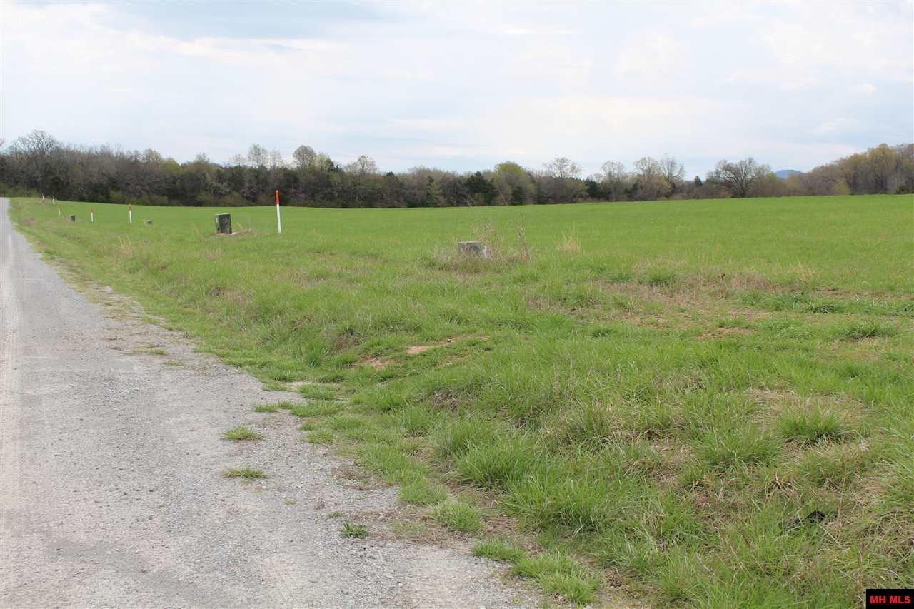 527-00000-000 Lydia Lane