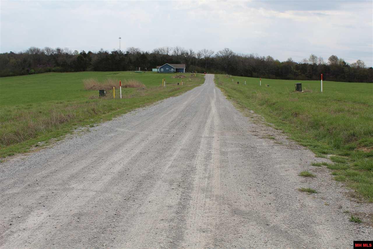 527-00000-000 Lydia Lane