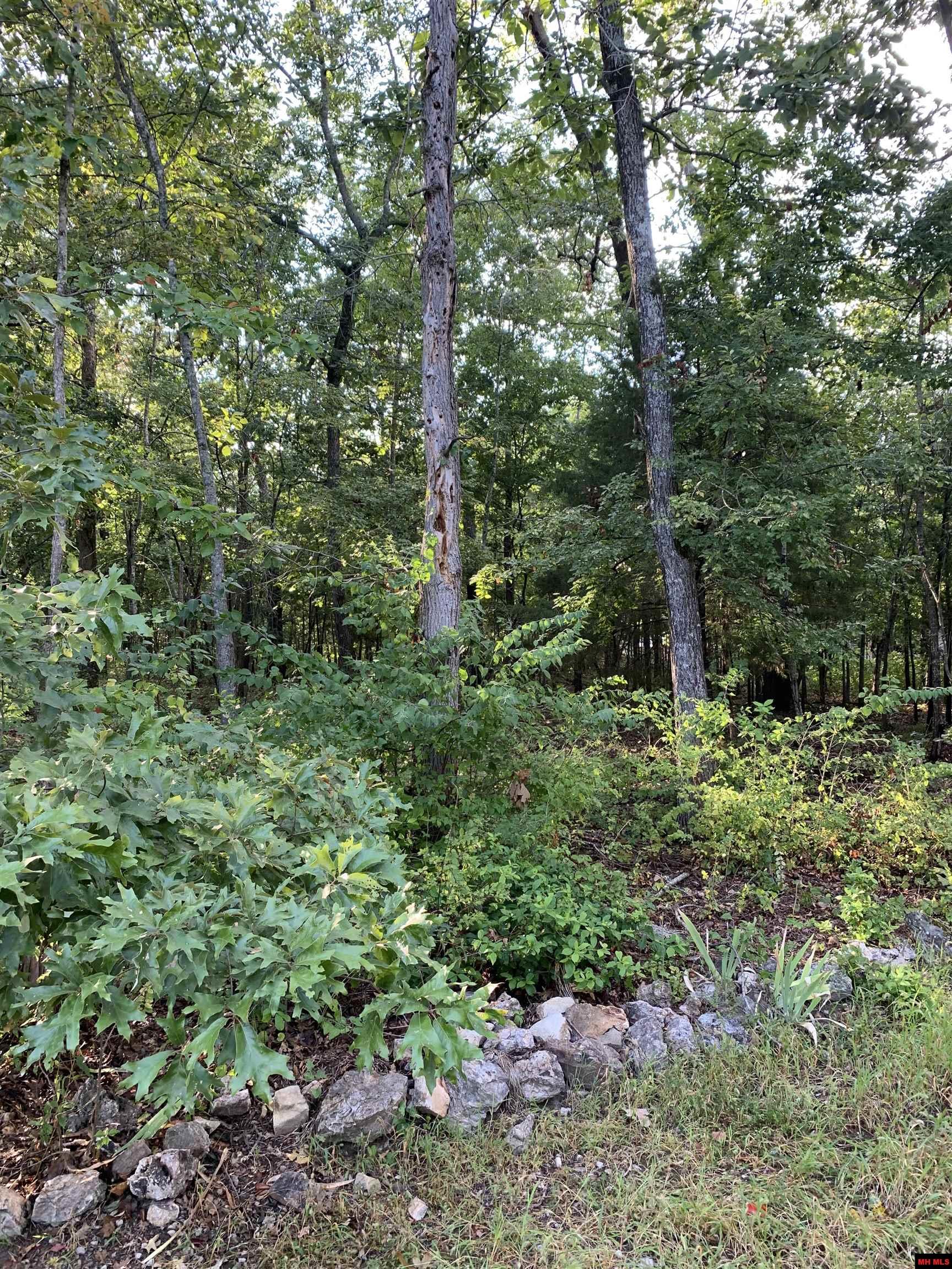 Pt  25 & 26 White River Court