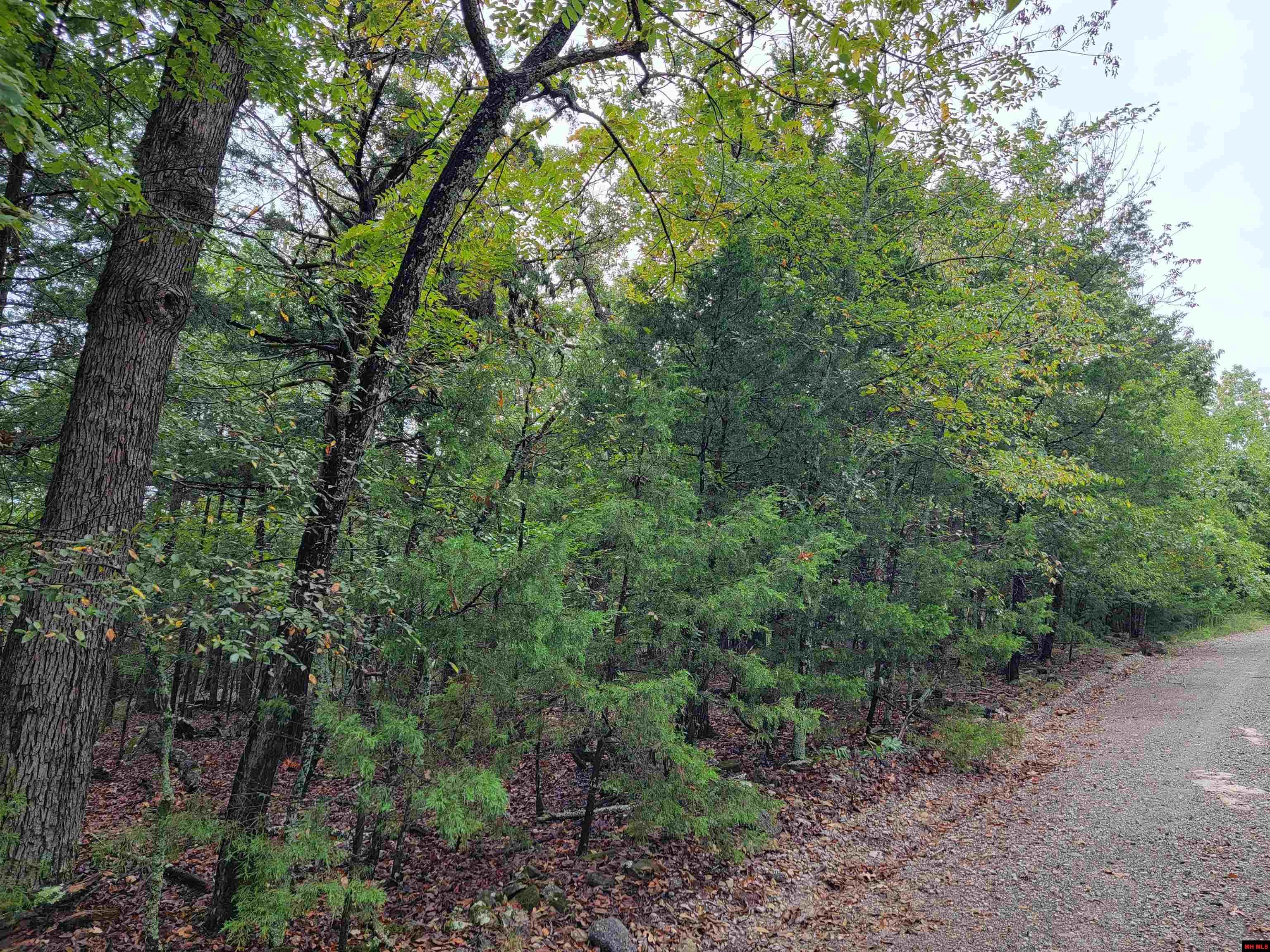 Lots 6-10 Hudson Bay