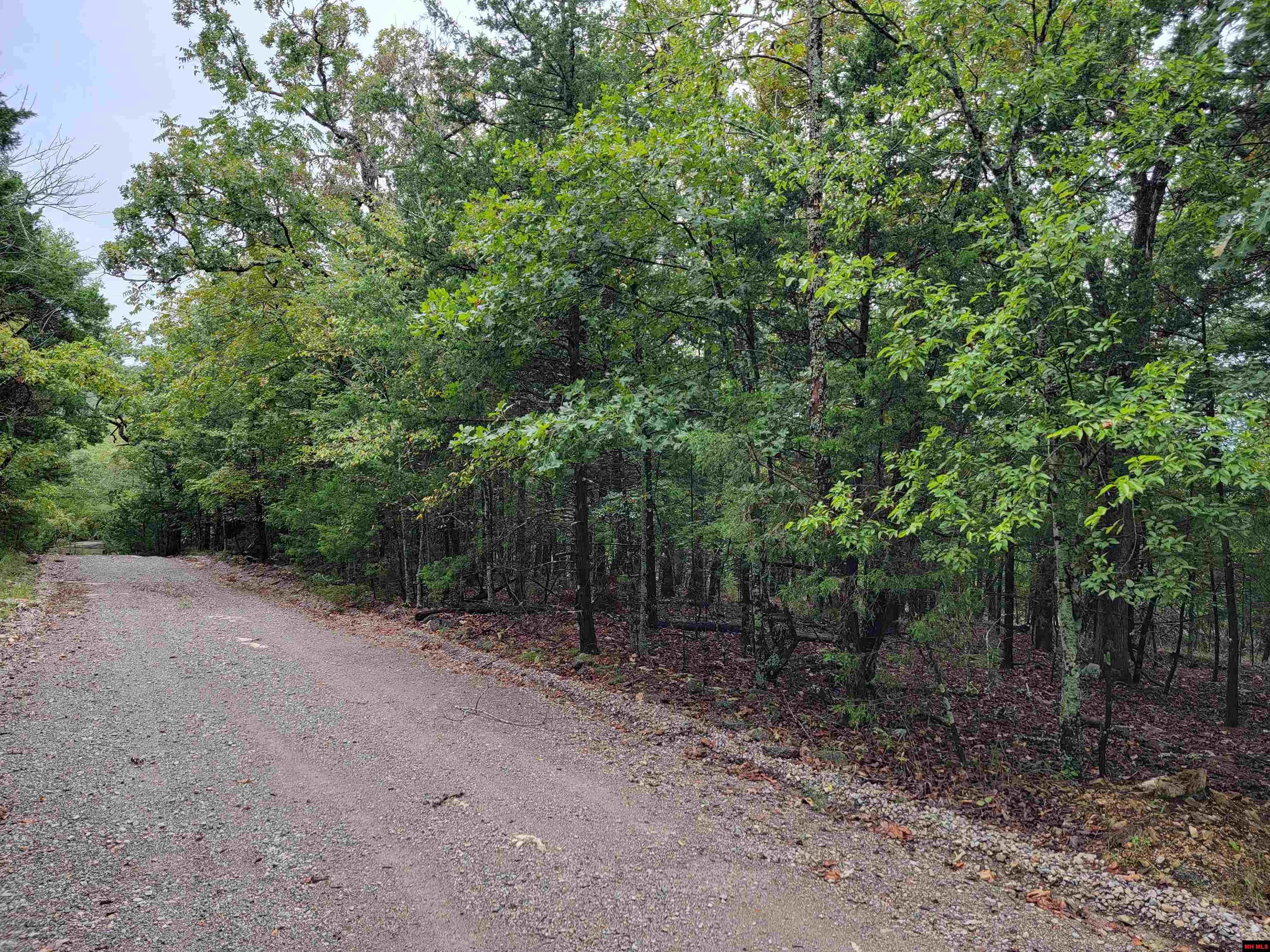 Lots 6-10 Hudson Bay