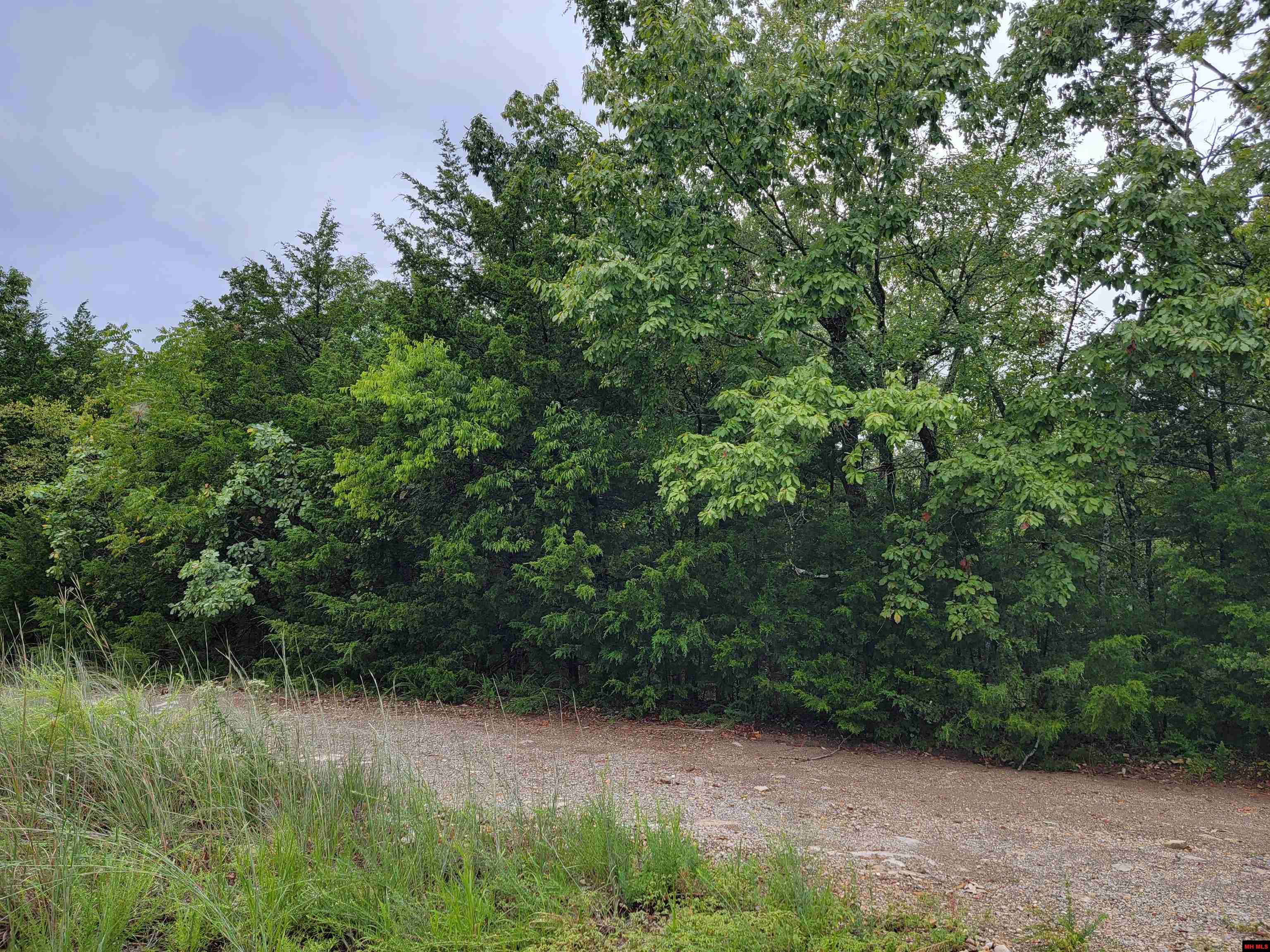 Lots 6-10 Hudson Bay