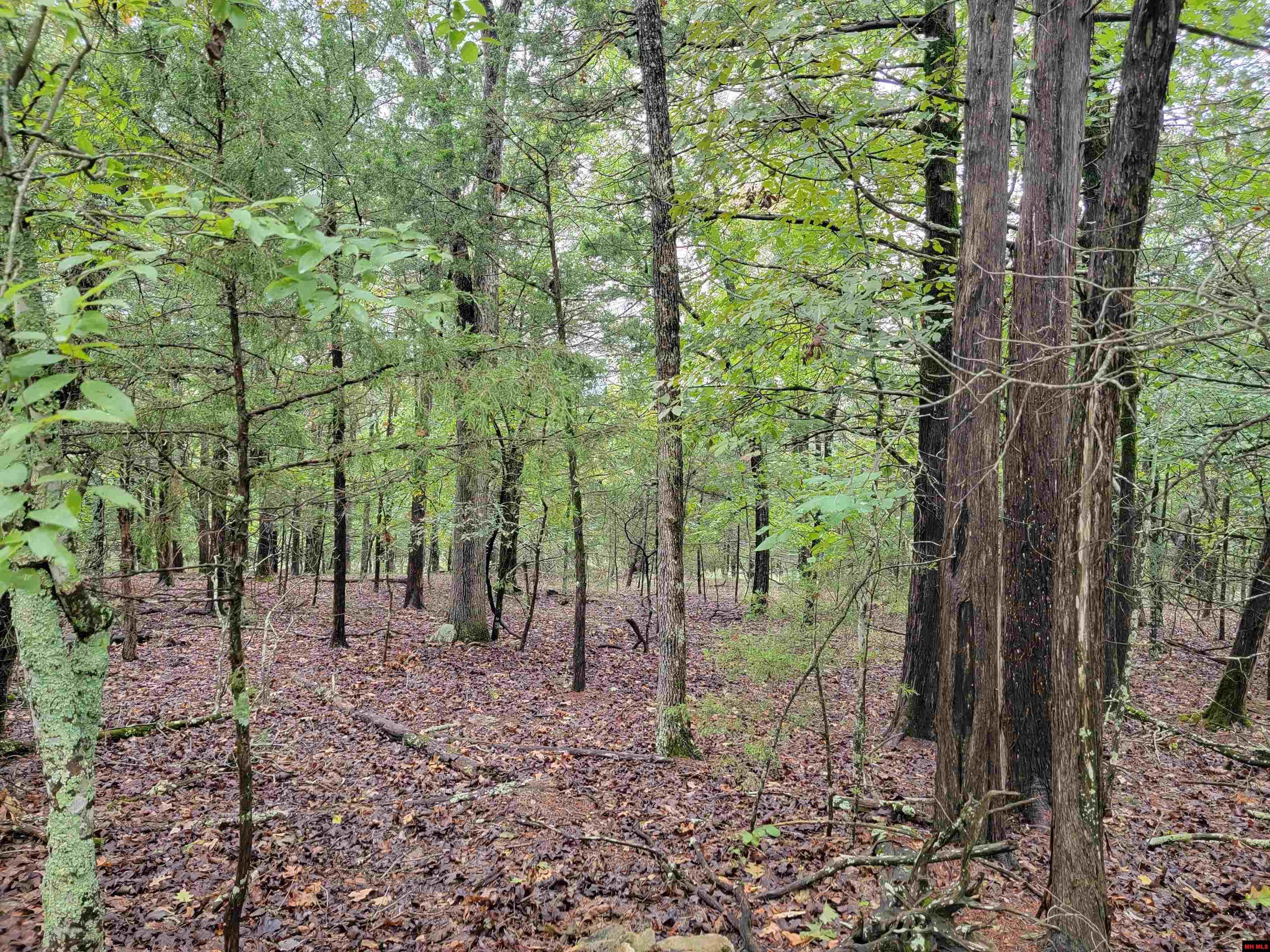 Lots 6-10 Hudson Bay