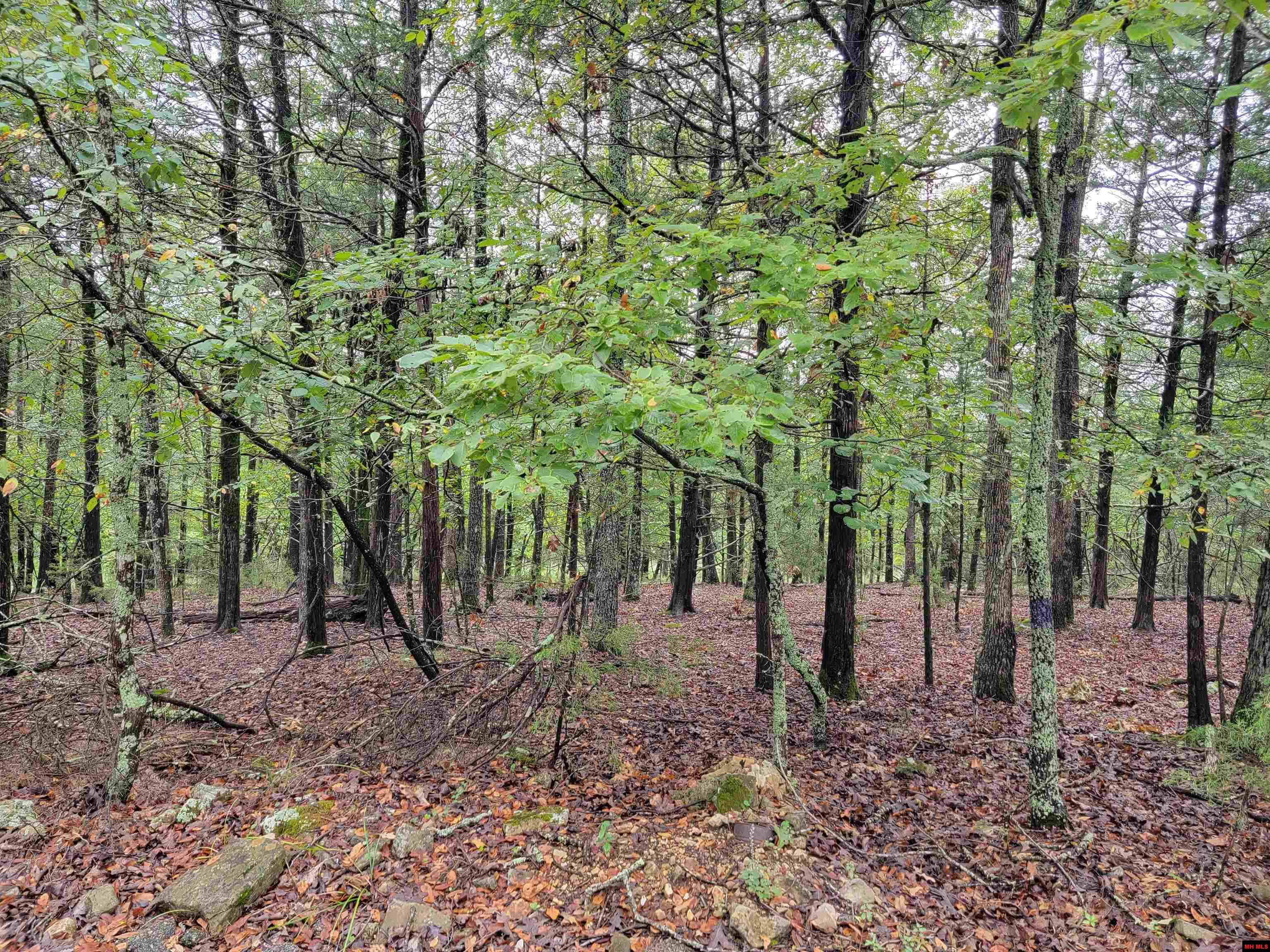 Lots 6-10 Hudson Bay