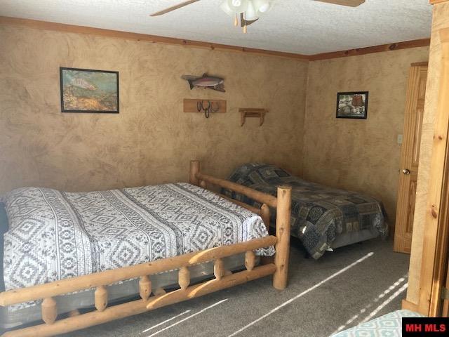 227 TROPHY COURT Cotter, AR