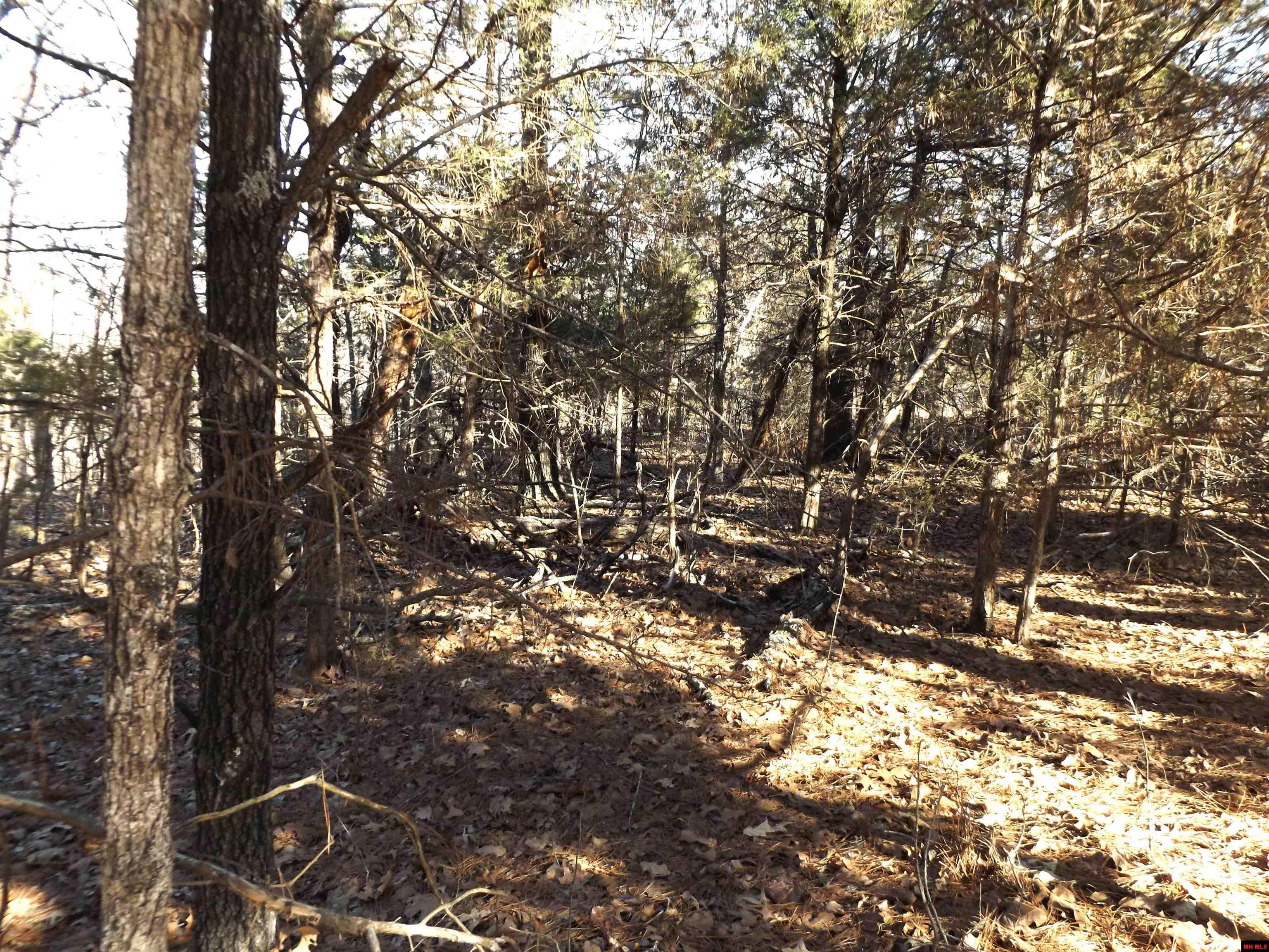 Lot 2 Iroquois Drive