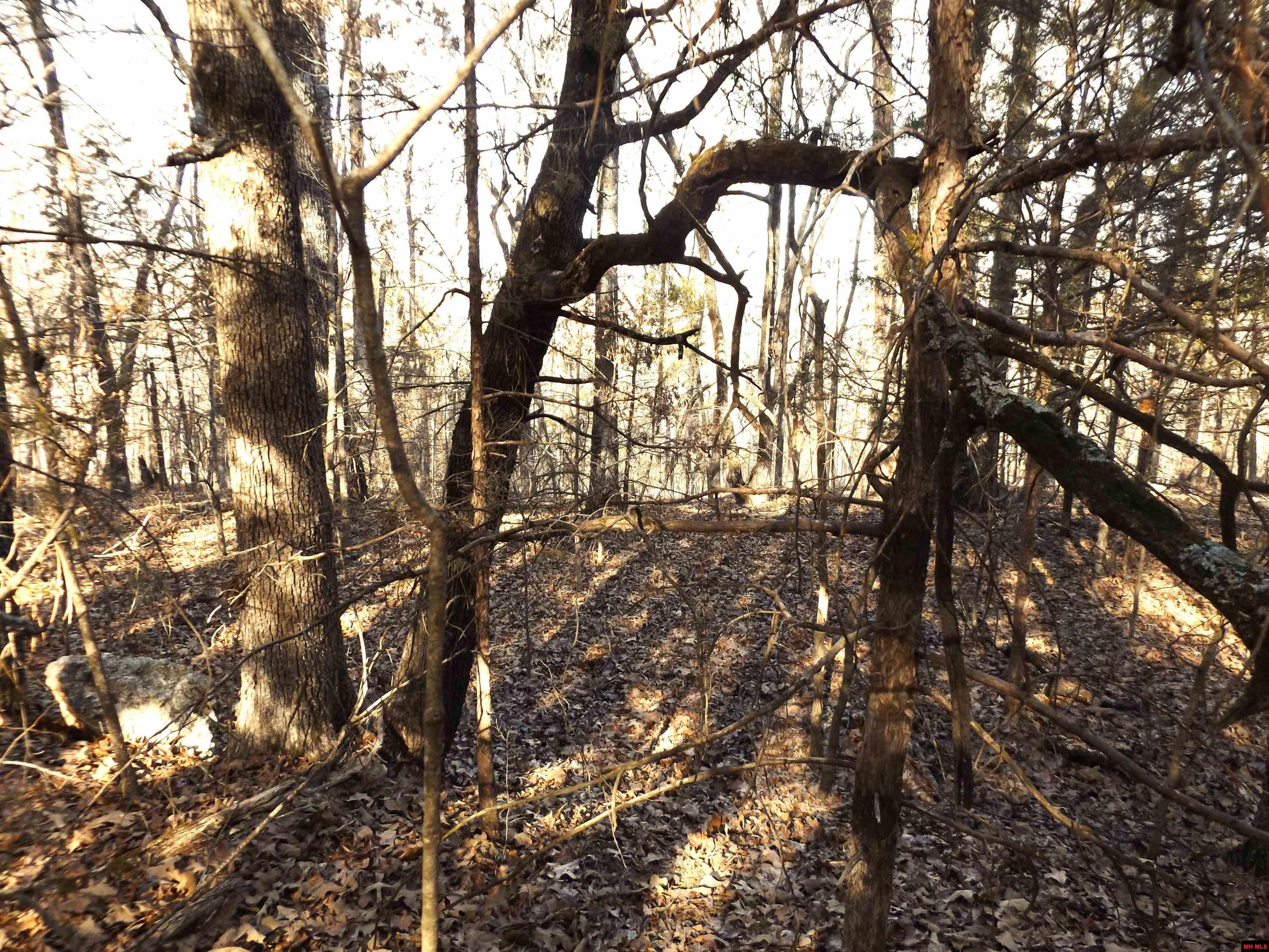 Lot 2 Iroquois Drive