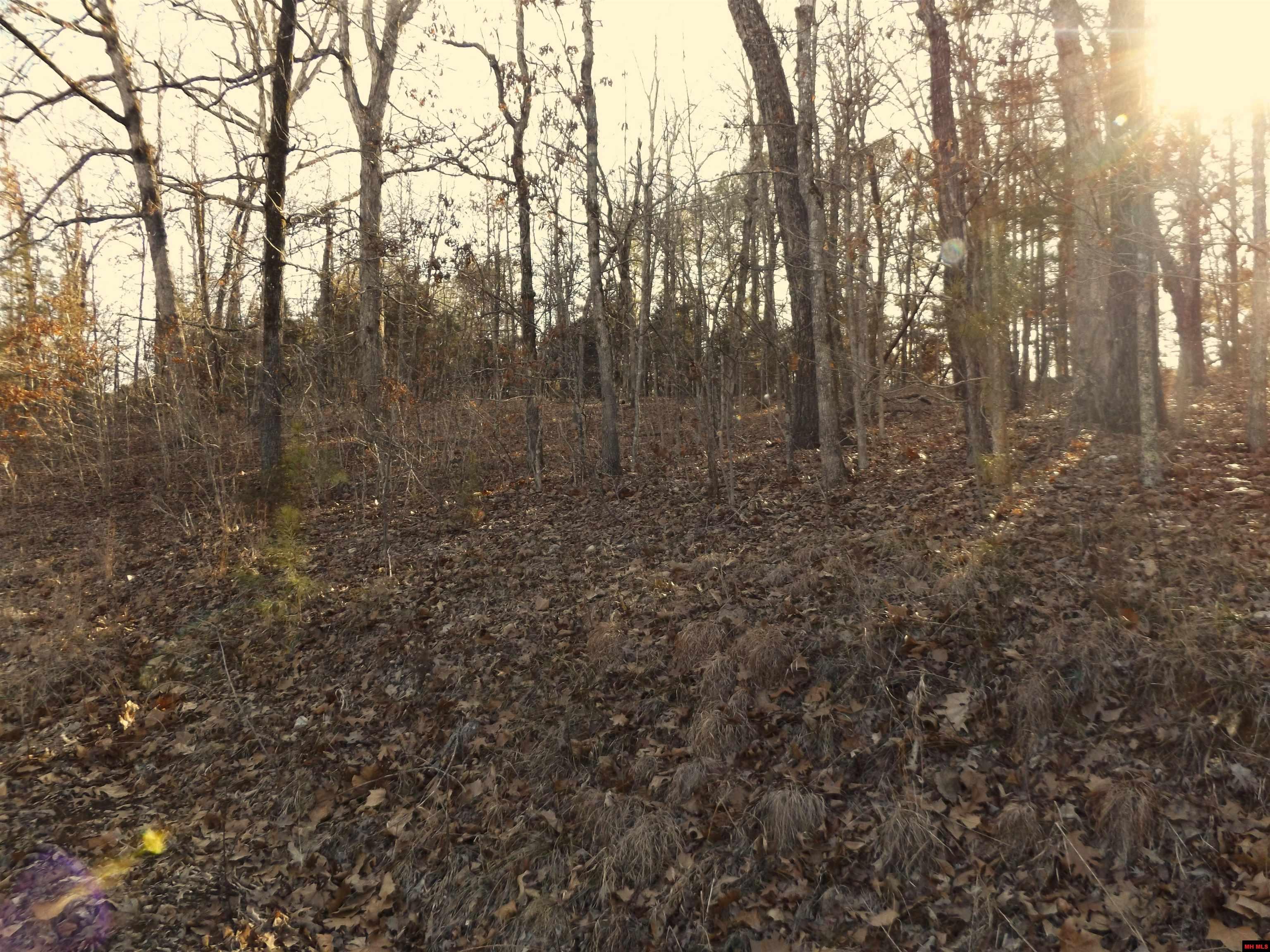 Lot 2 Iroquois Drive