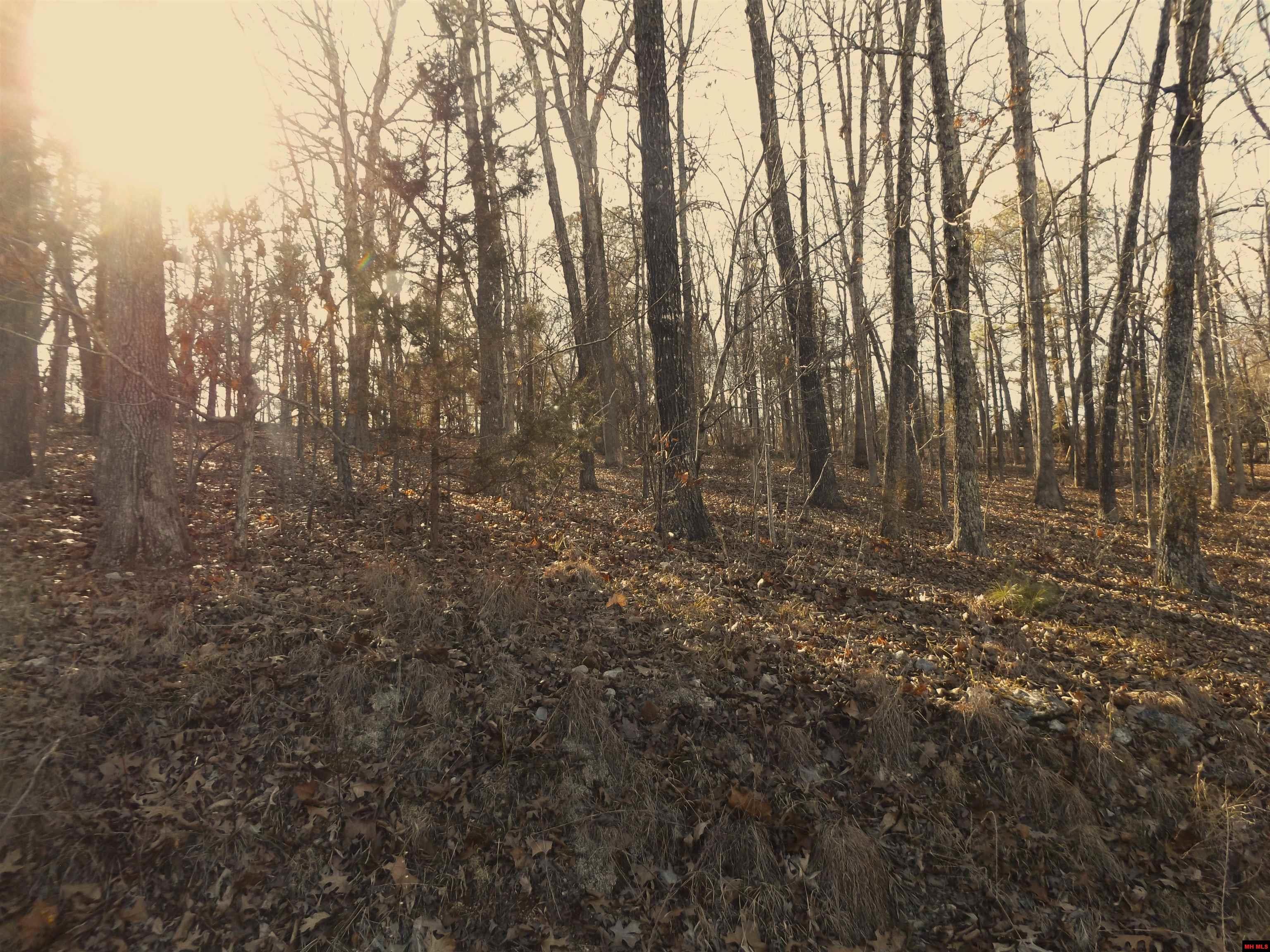 Lot 2 Iroquois Drive