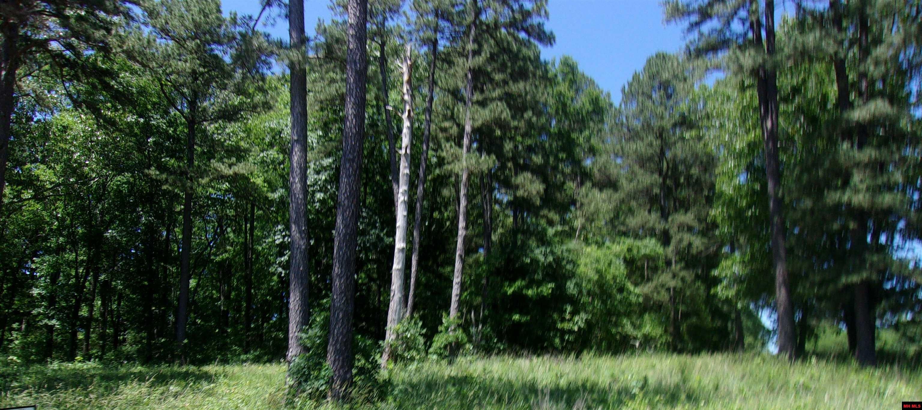 Lot 9 White Bluffs Court