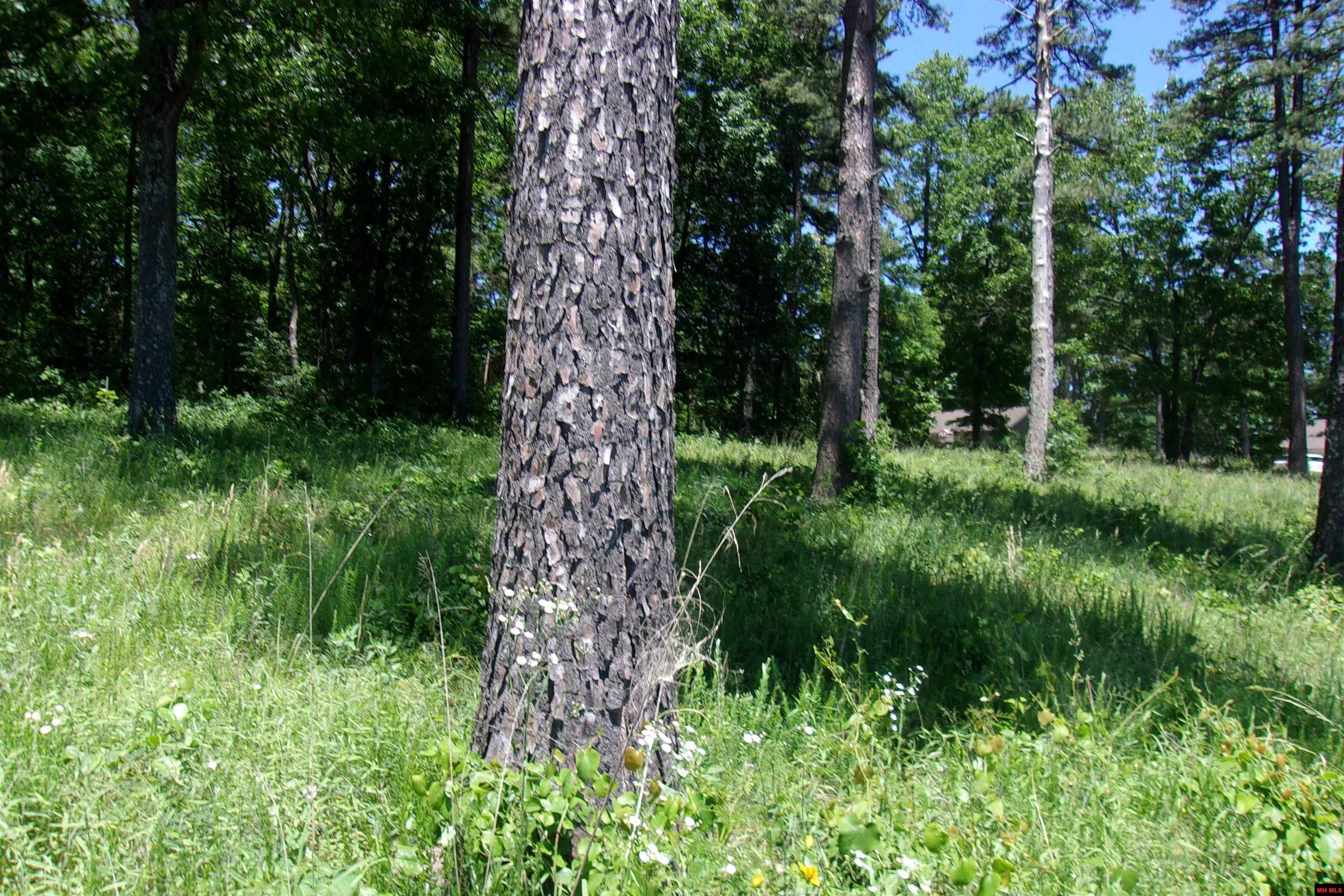 Lot 9 White Bluffs Court