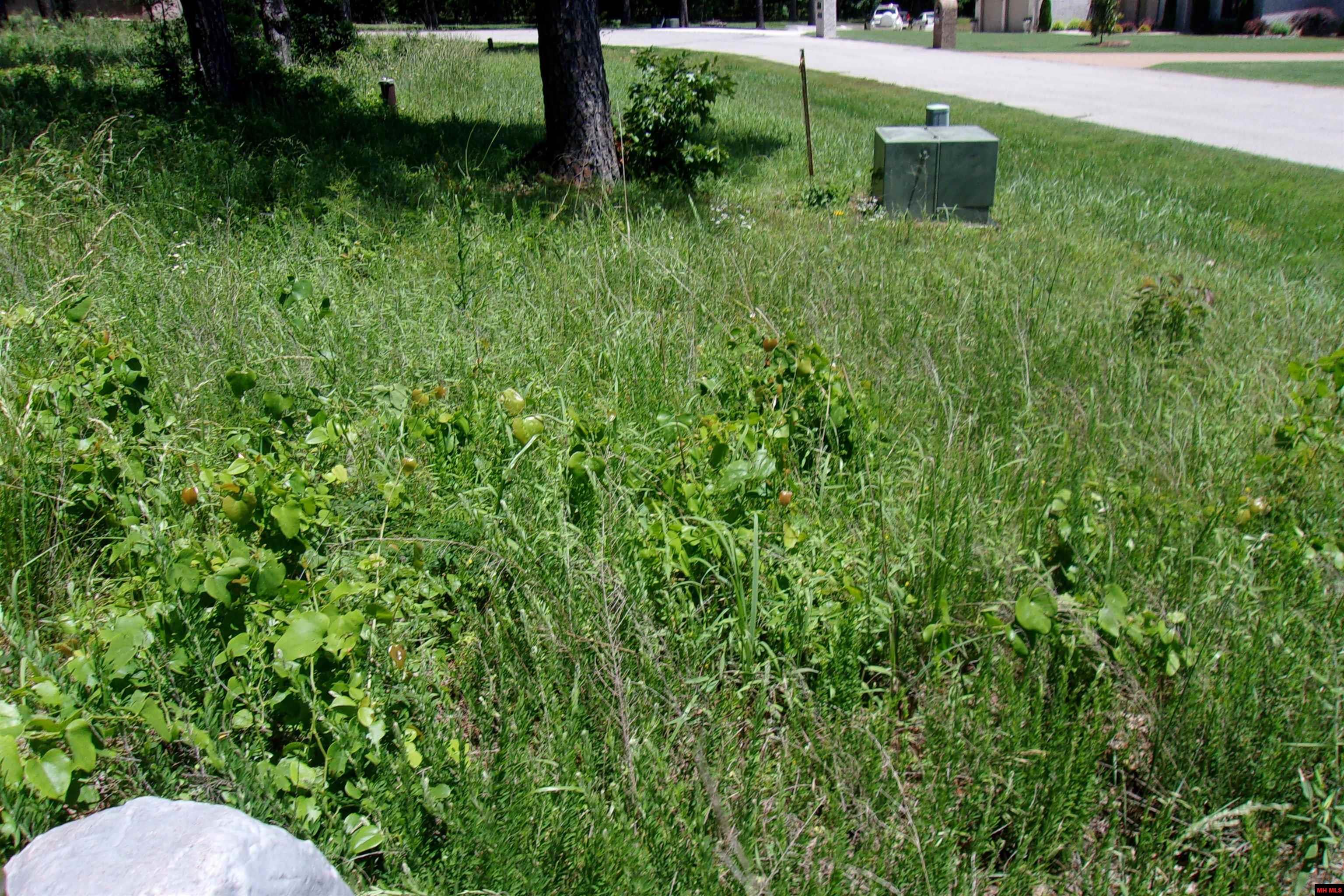 Lot 9 White Bluffs Court