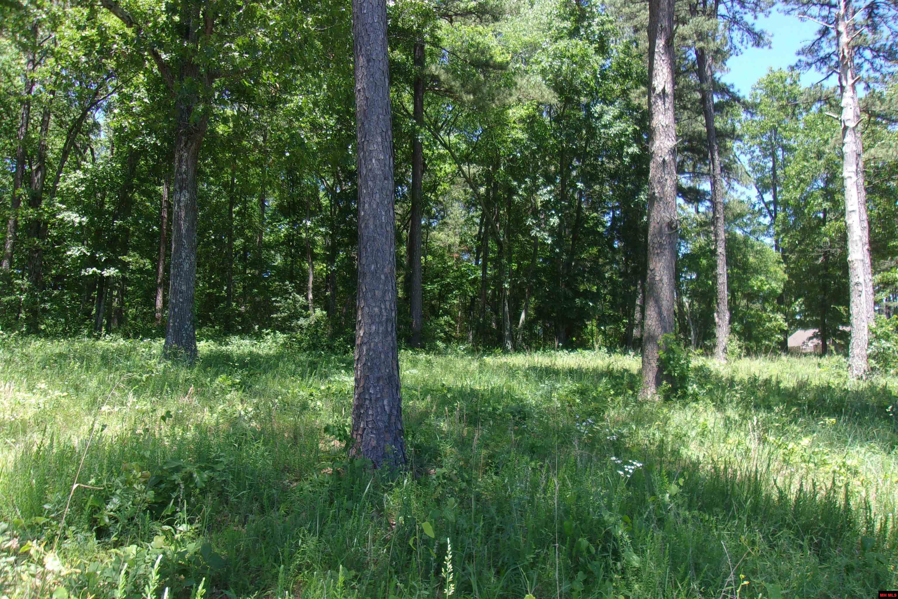 Lot 9 White Bluffs Court