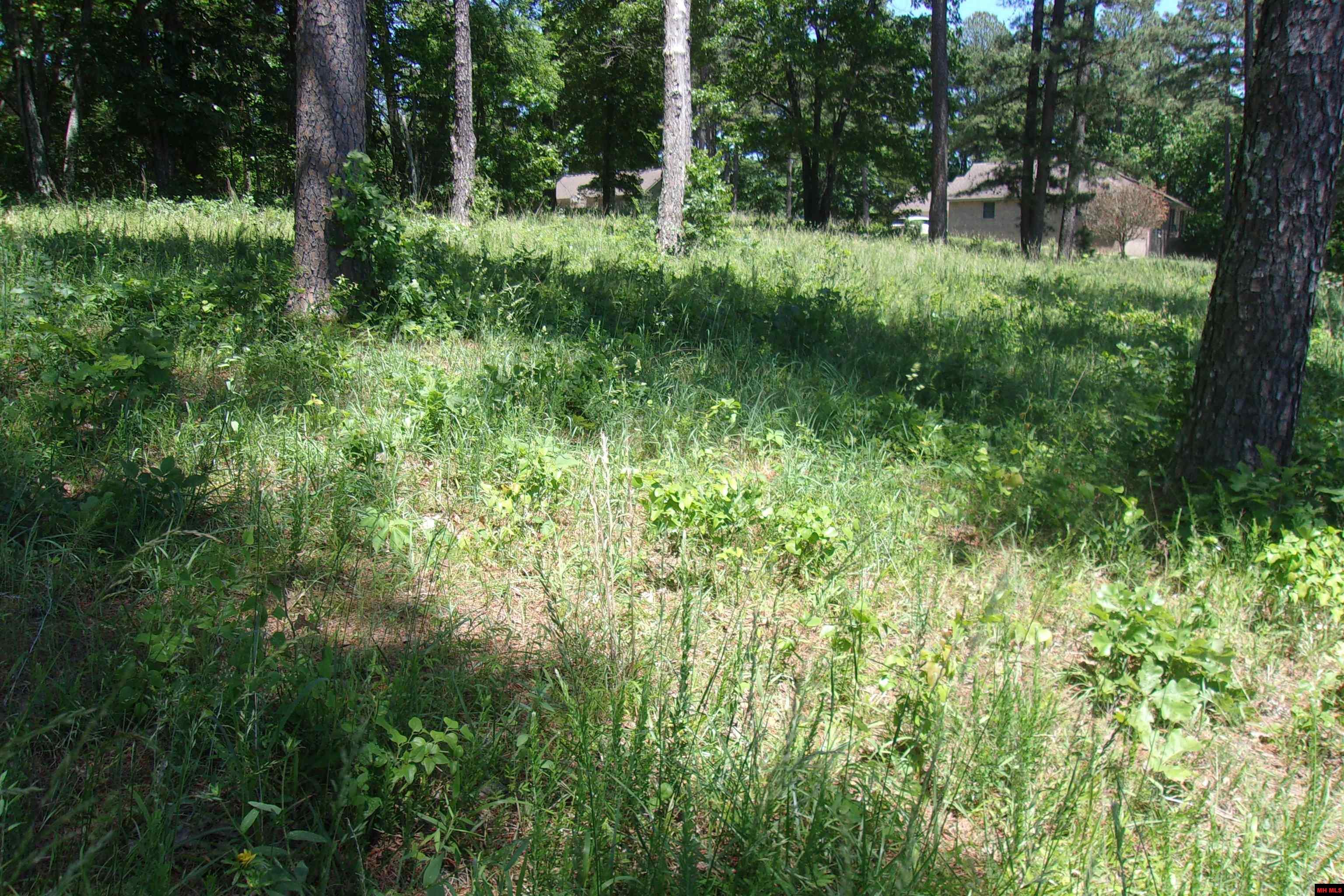 Lot 9 White Bluffs Court