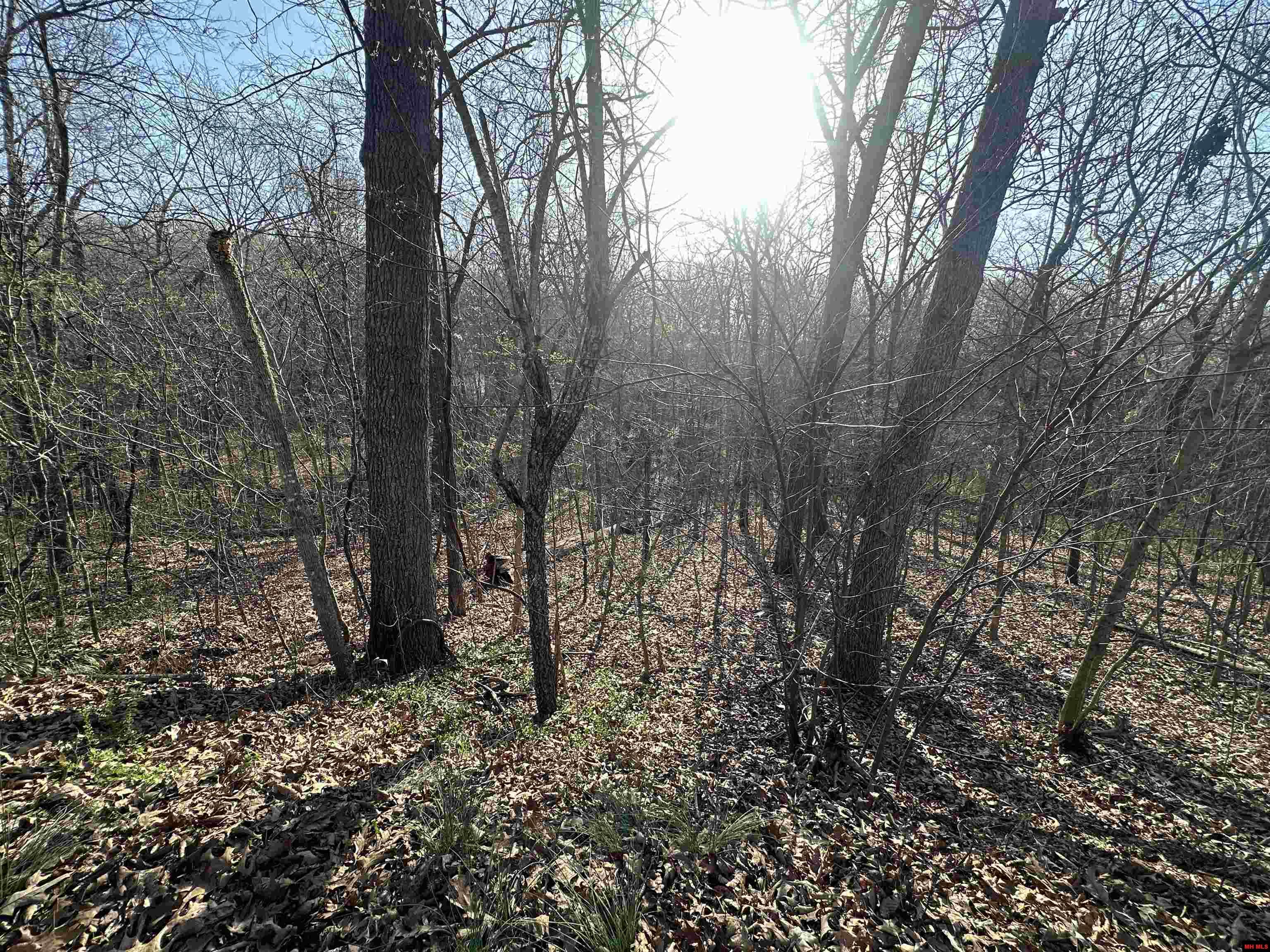 268-00601-000 Altakima Circle