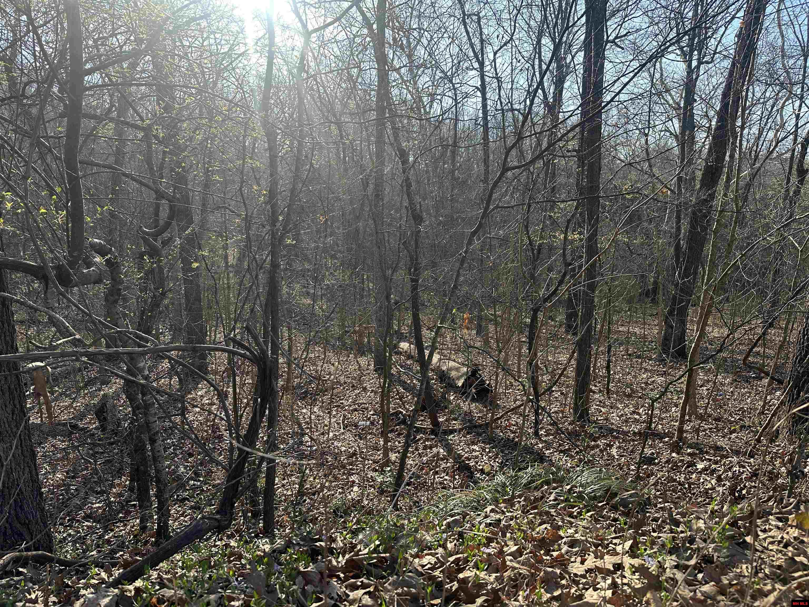 268-00601-000 Altakima Circle