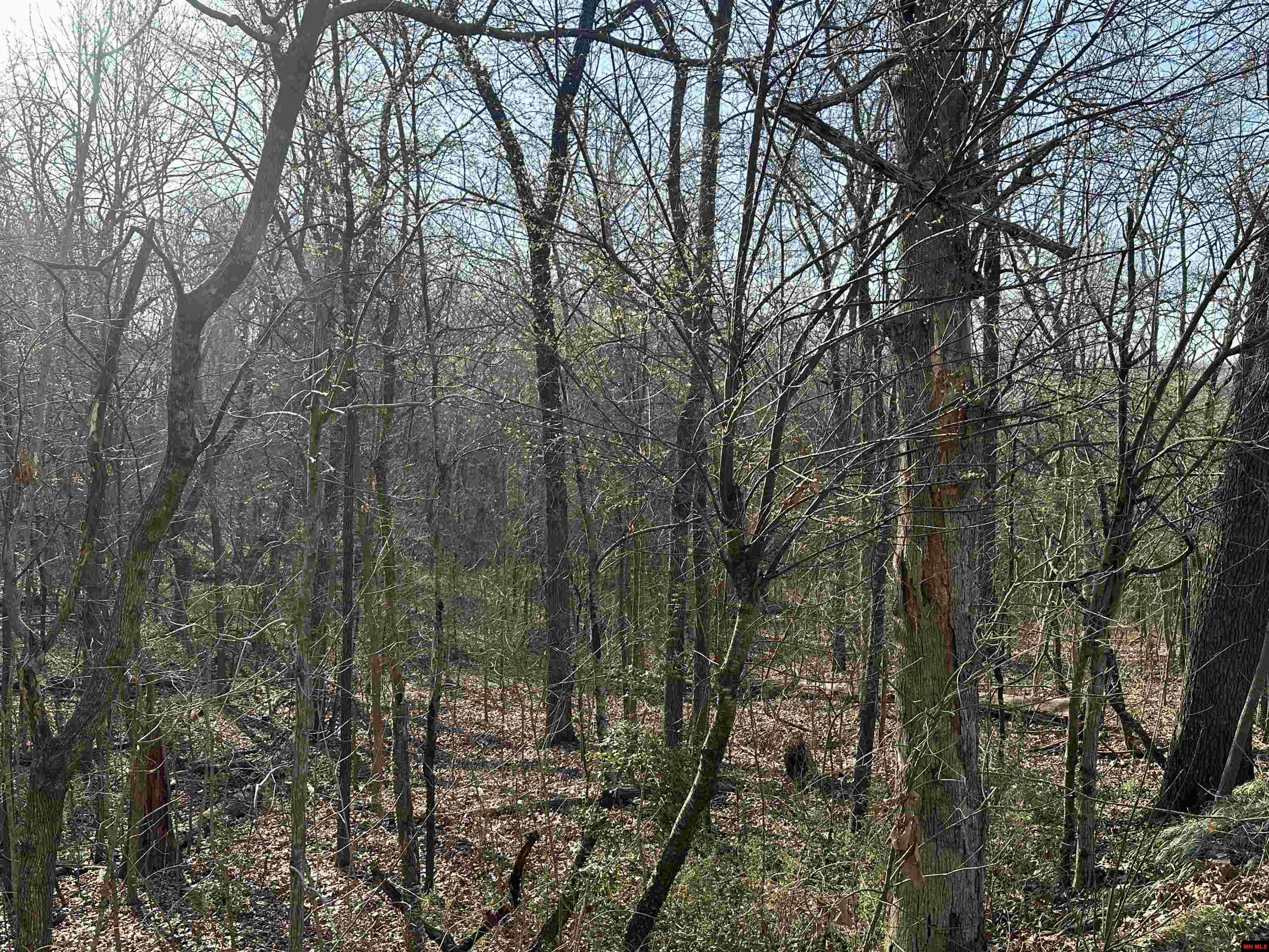 268-00601-000 Altakima Circle