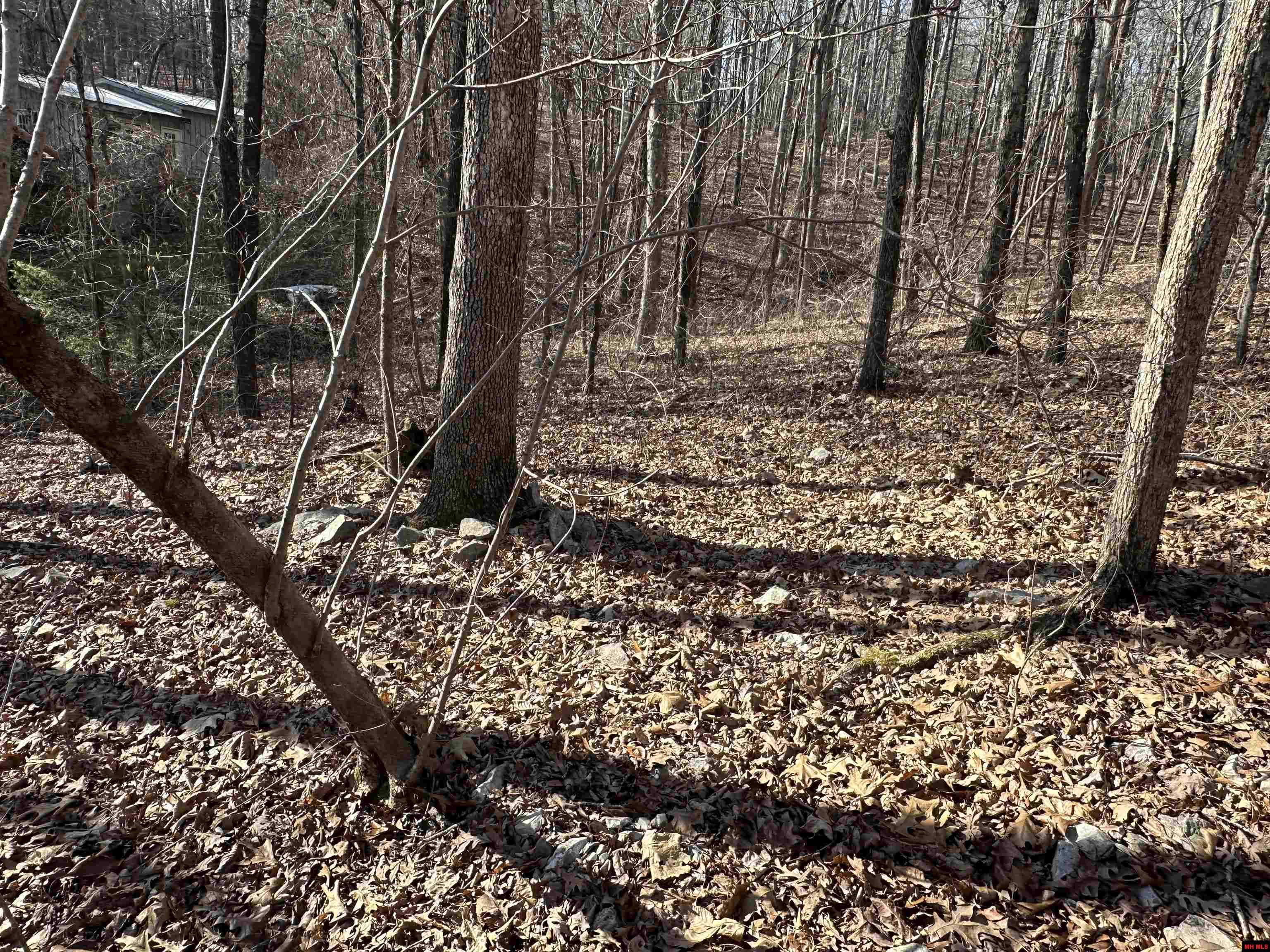 300-00220-000 Blackfoot Drive