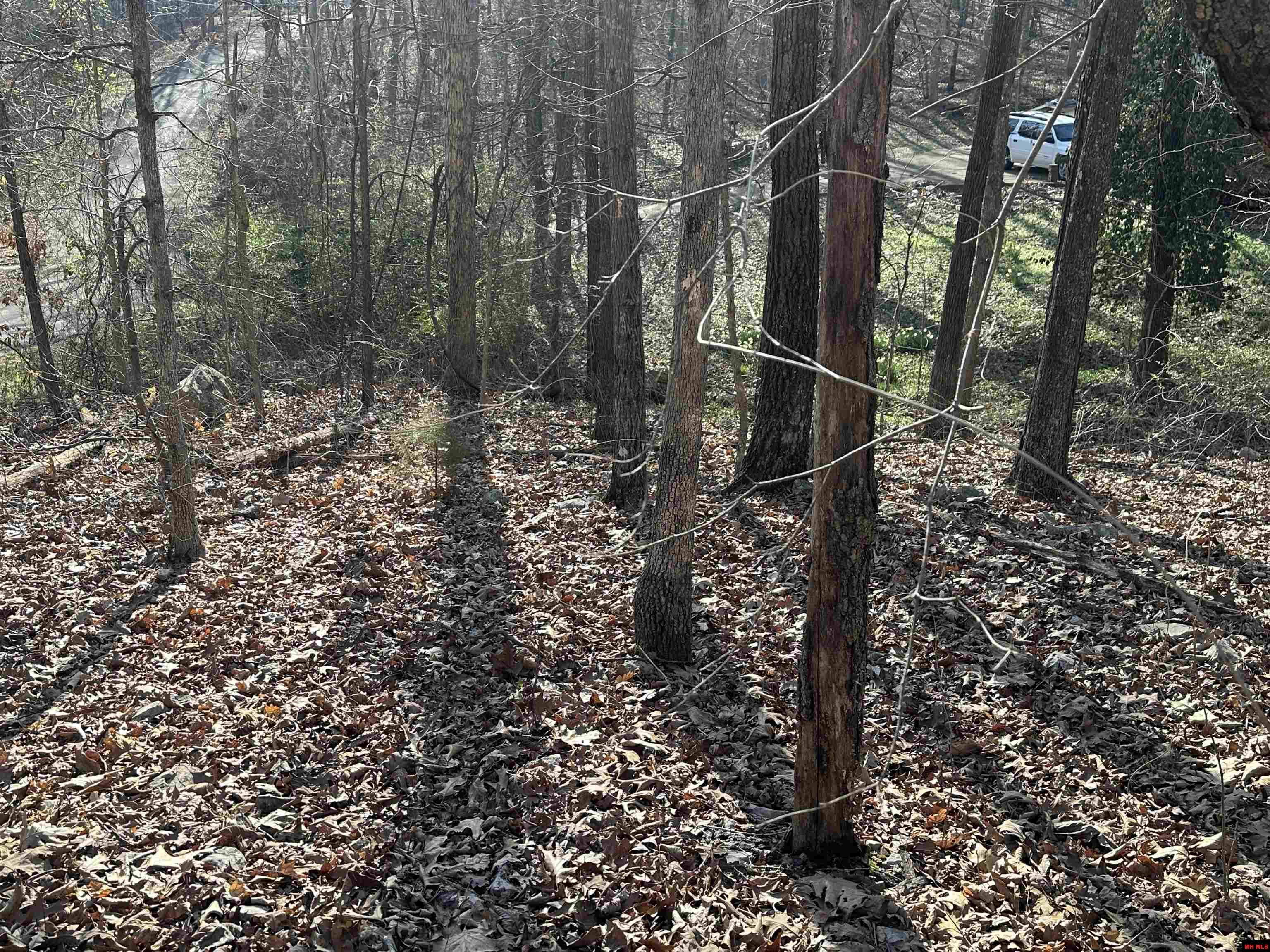 300-00220-000 Blackfoot Drive