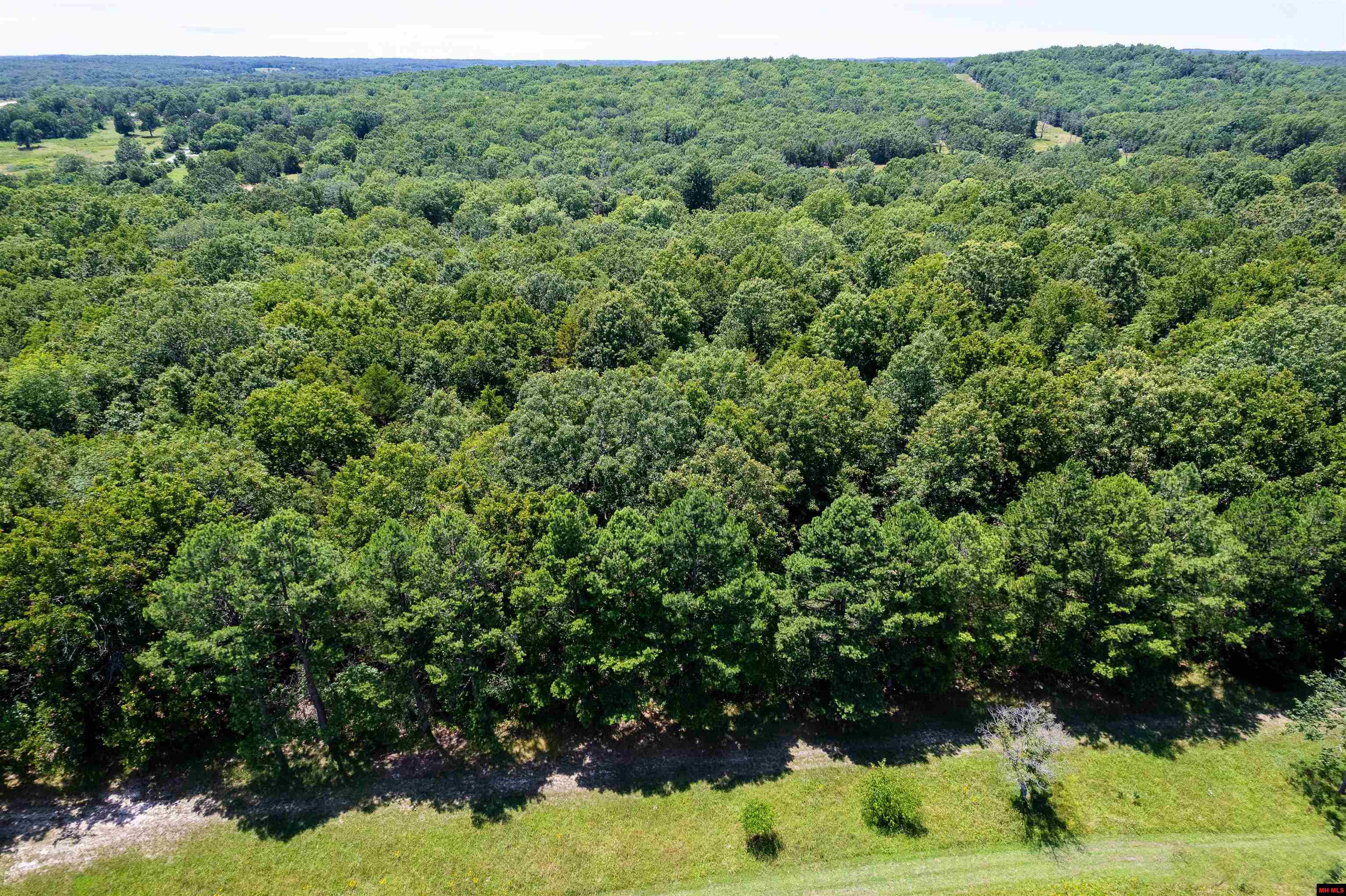 029031000000003 Cr 3200