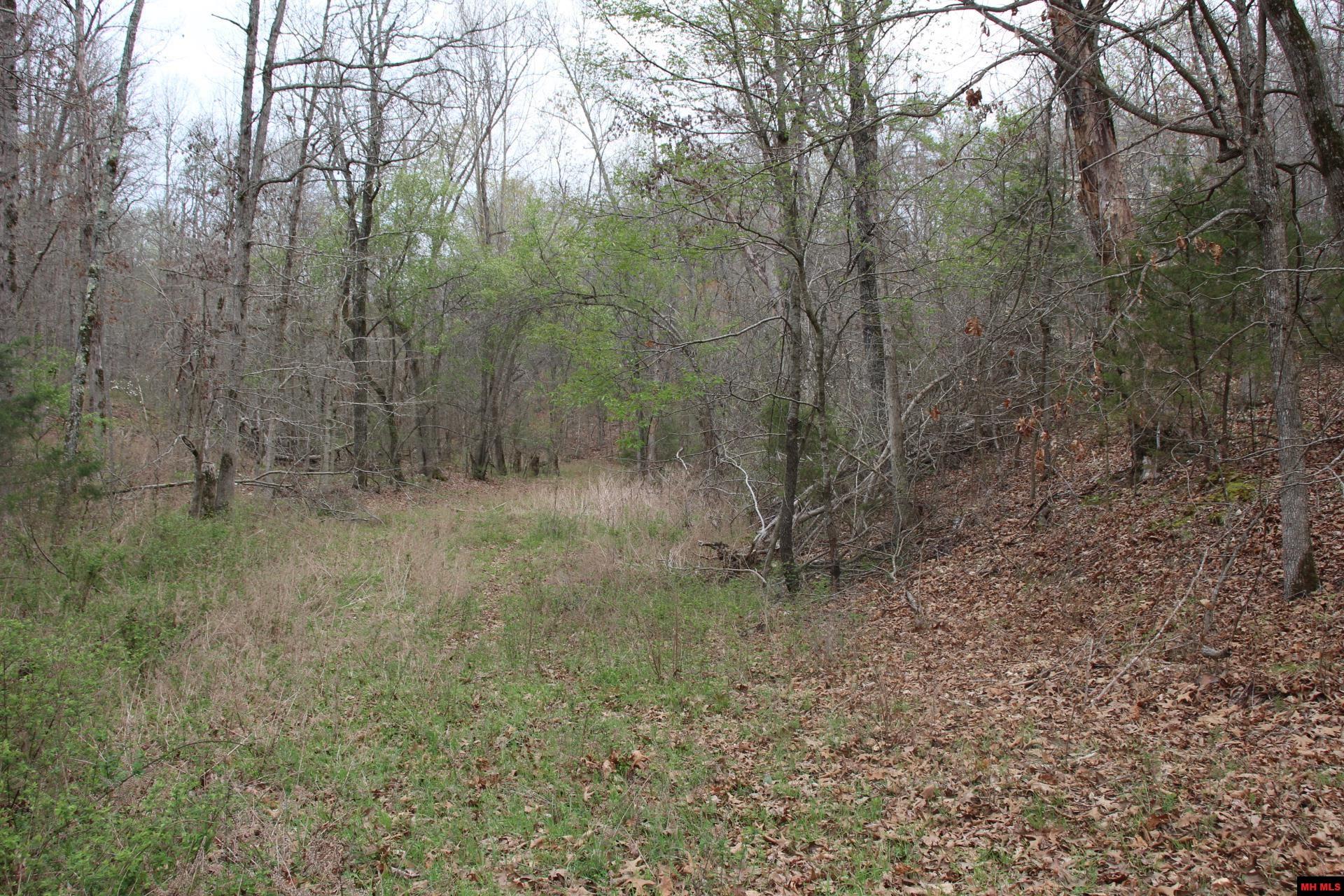 Tract 1,2,3&4 N Hwy 125