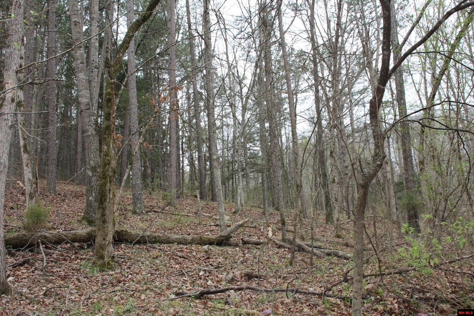 Tract 1,2,3&4 N Hwy 125