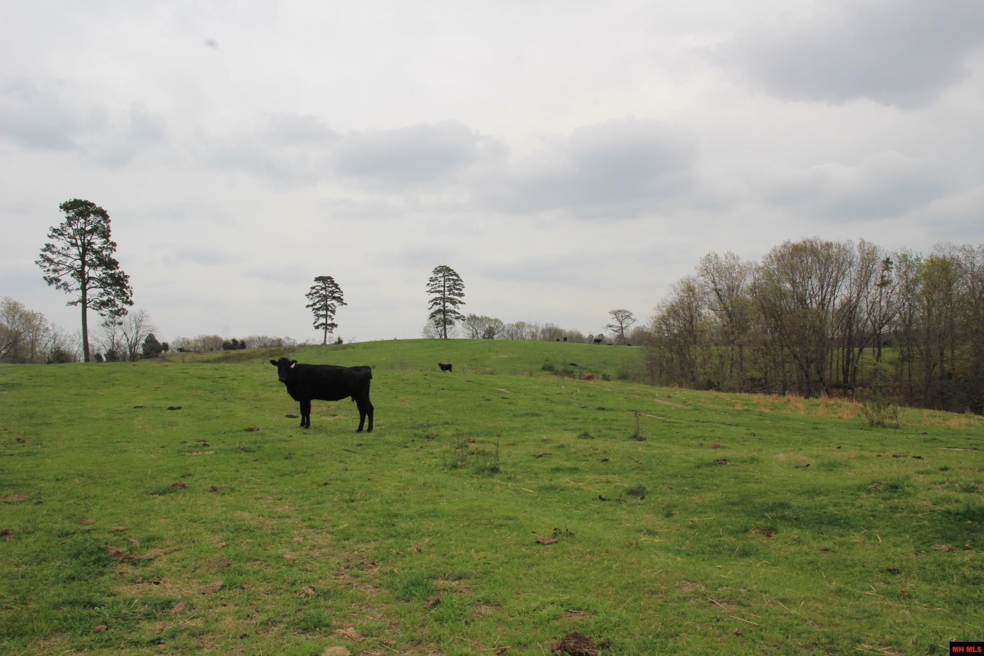 Tract 1,2,3&4 N Hwy 125