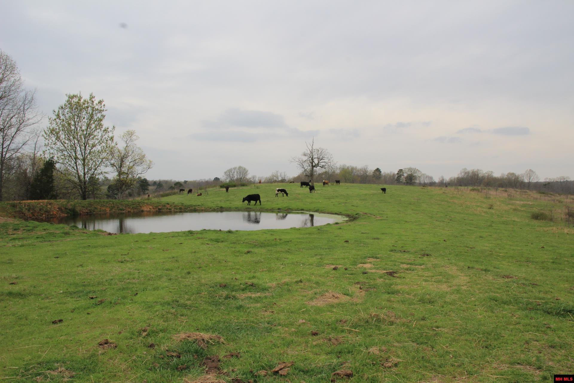 Tract 1,2,3&4 N Hwy 125