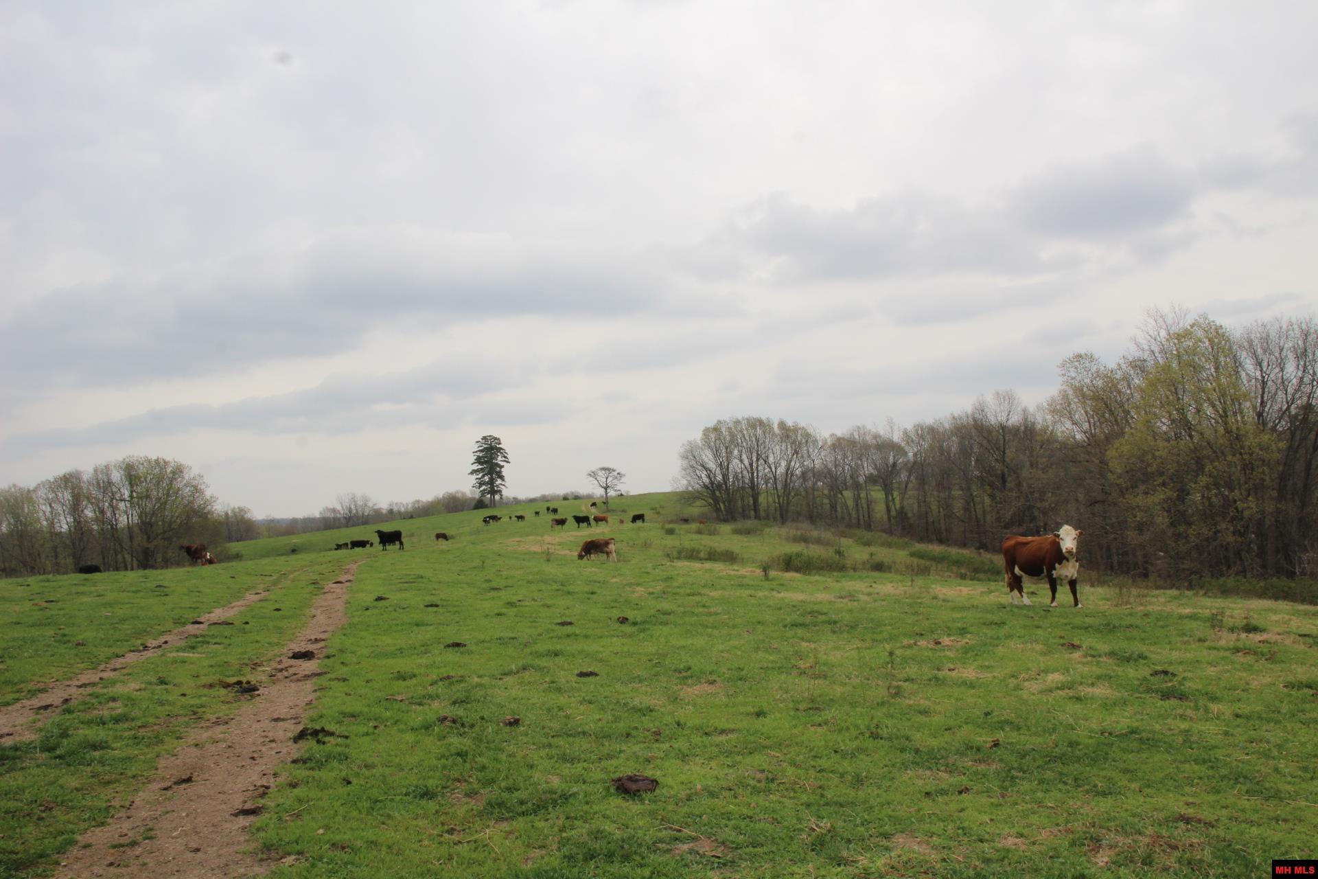 Tract 1,2,3&4 N Hwy 125