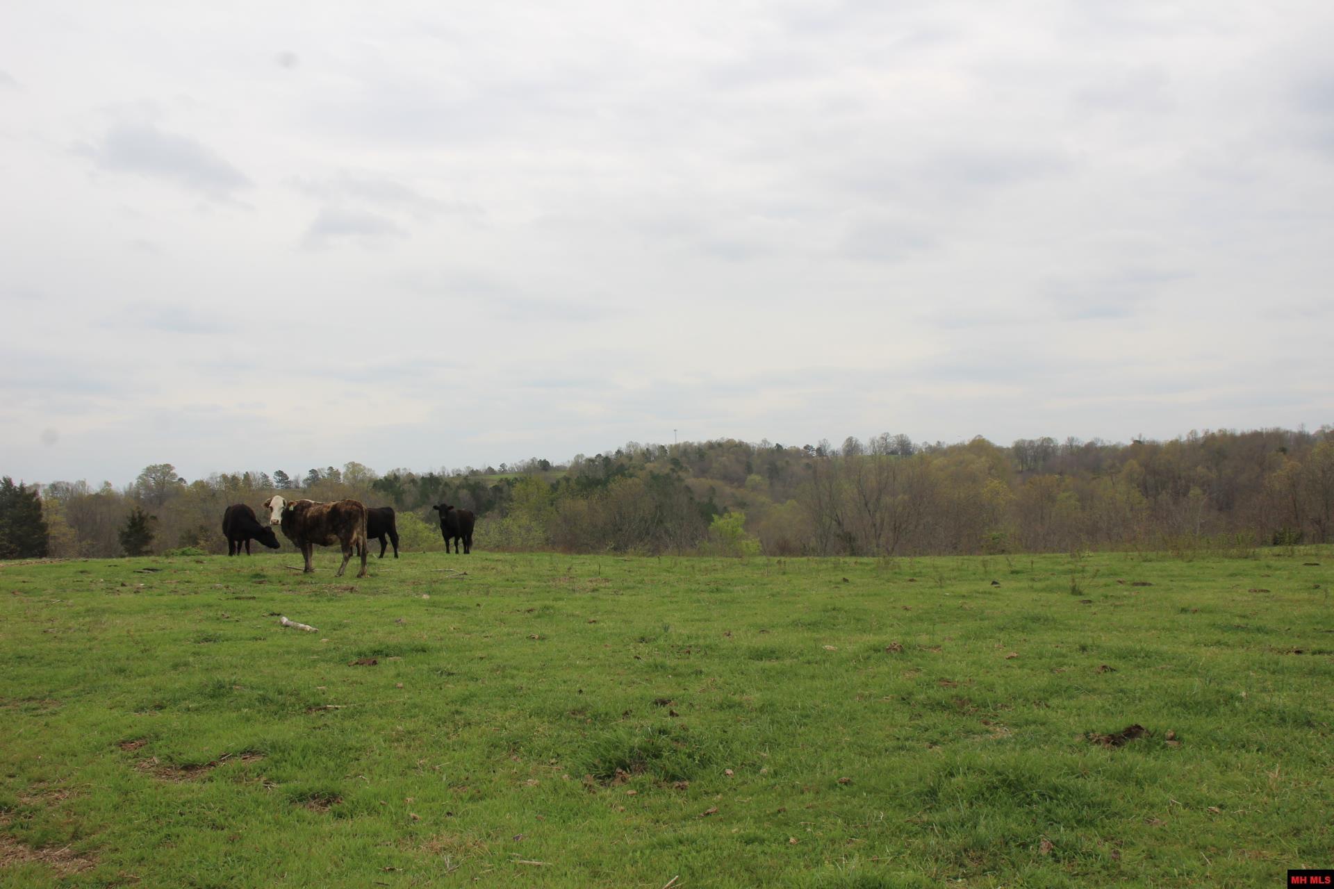 Tract 1,2,3&4 N Hwy 125