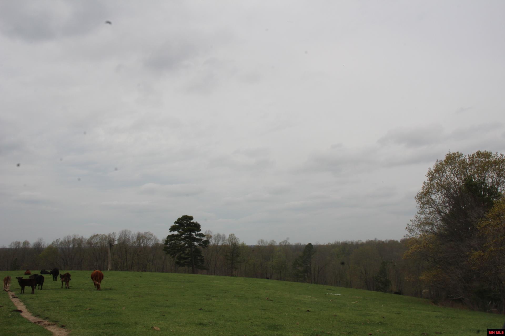 Tract 1,2,3&4 N Hwy 125