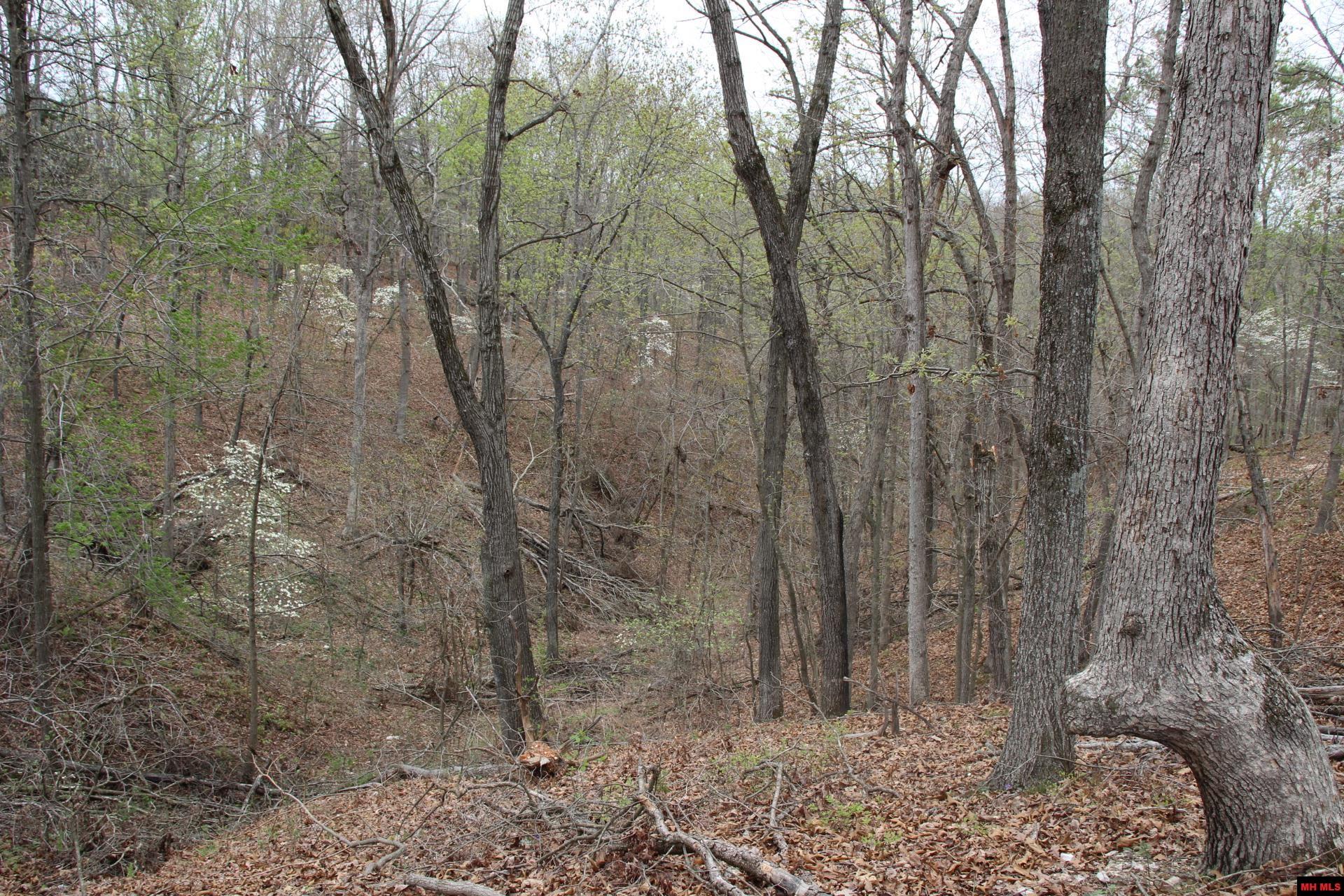 Tract 1,2,3&4 N Hwy 125