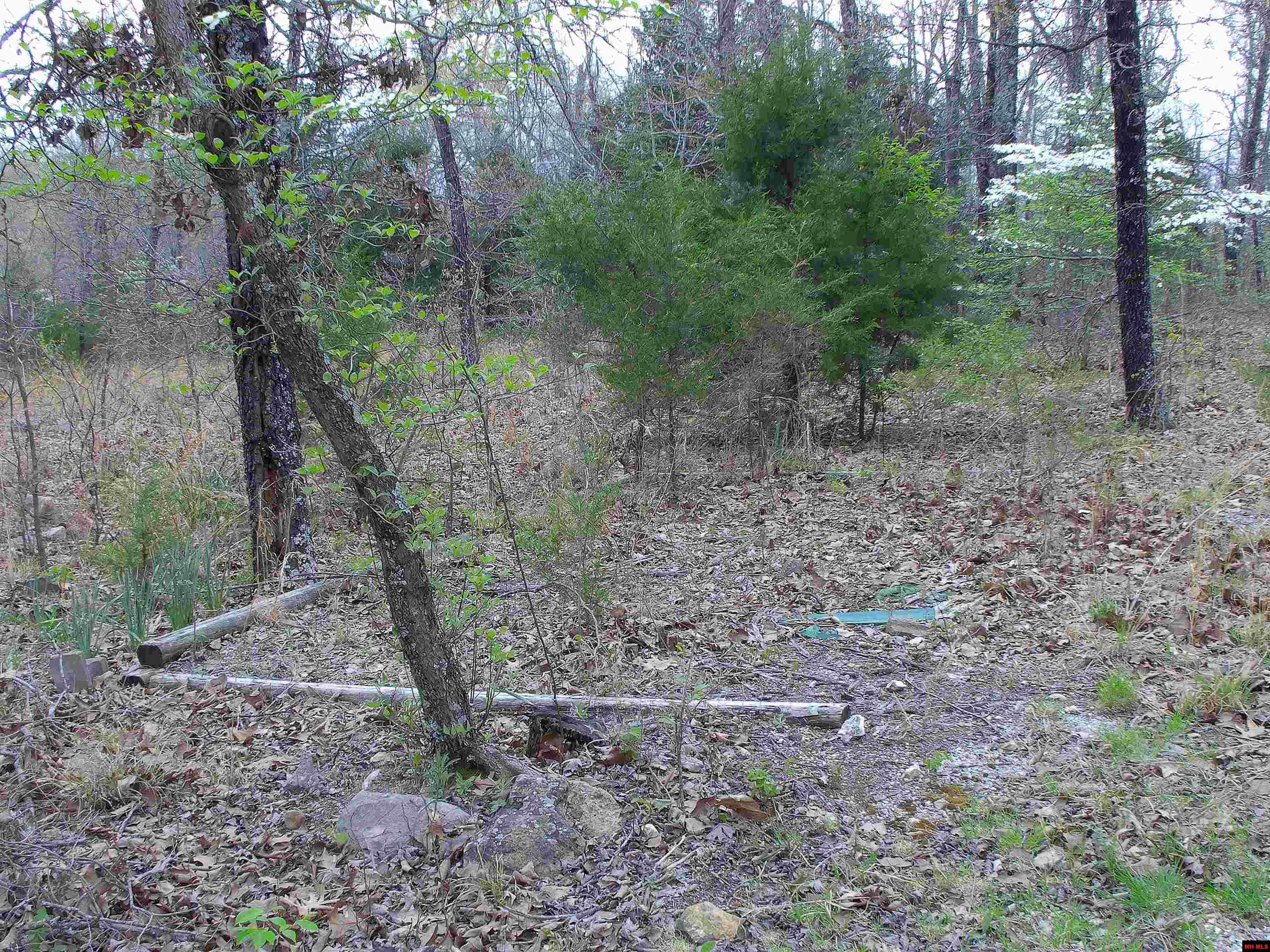 001-05099-000 Young Road