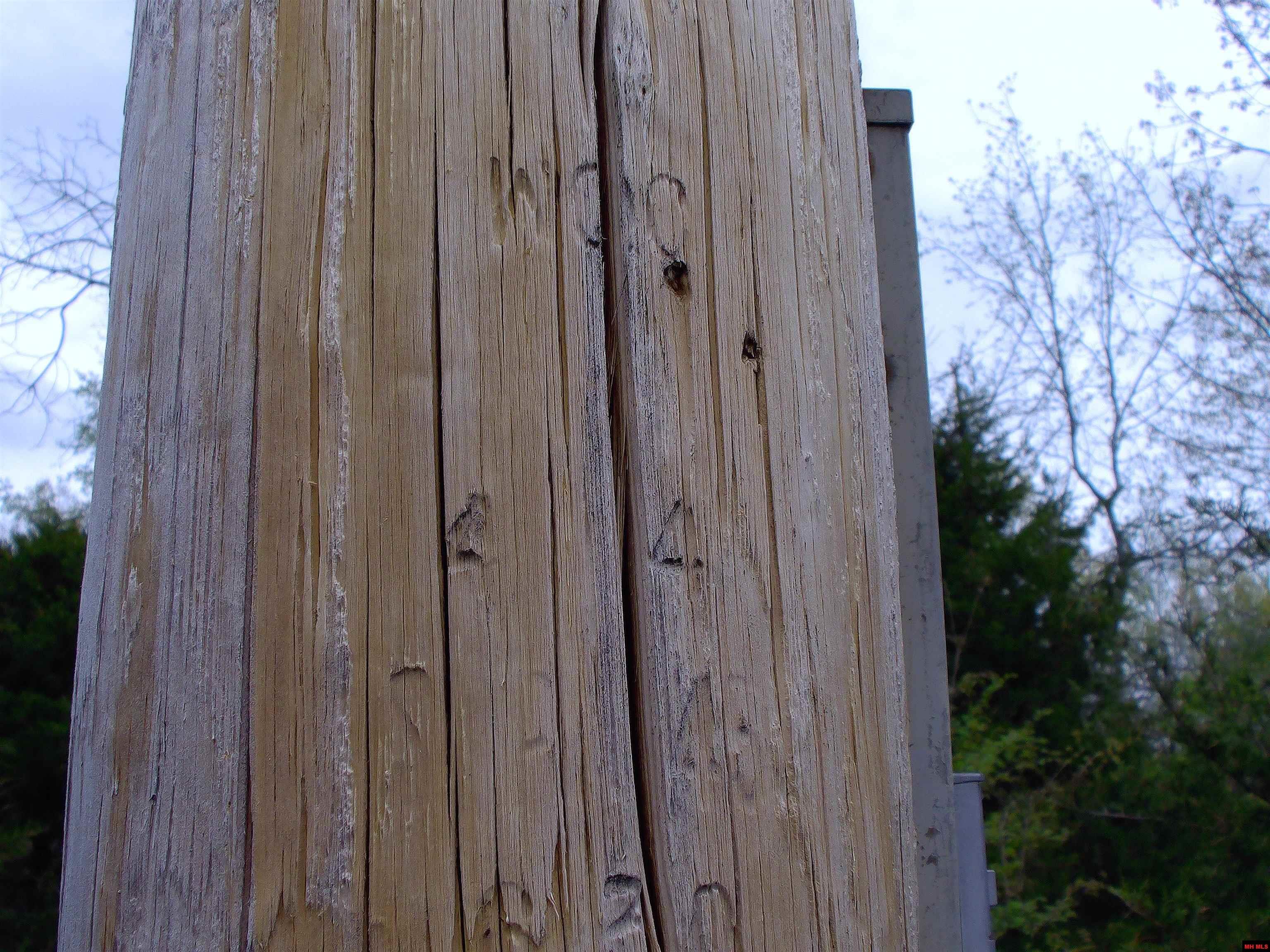 001-05099-000 Young Road