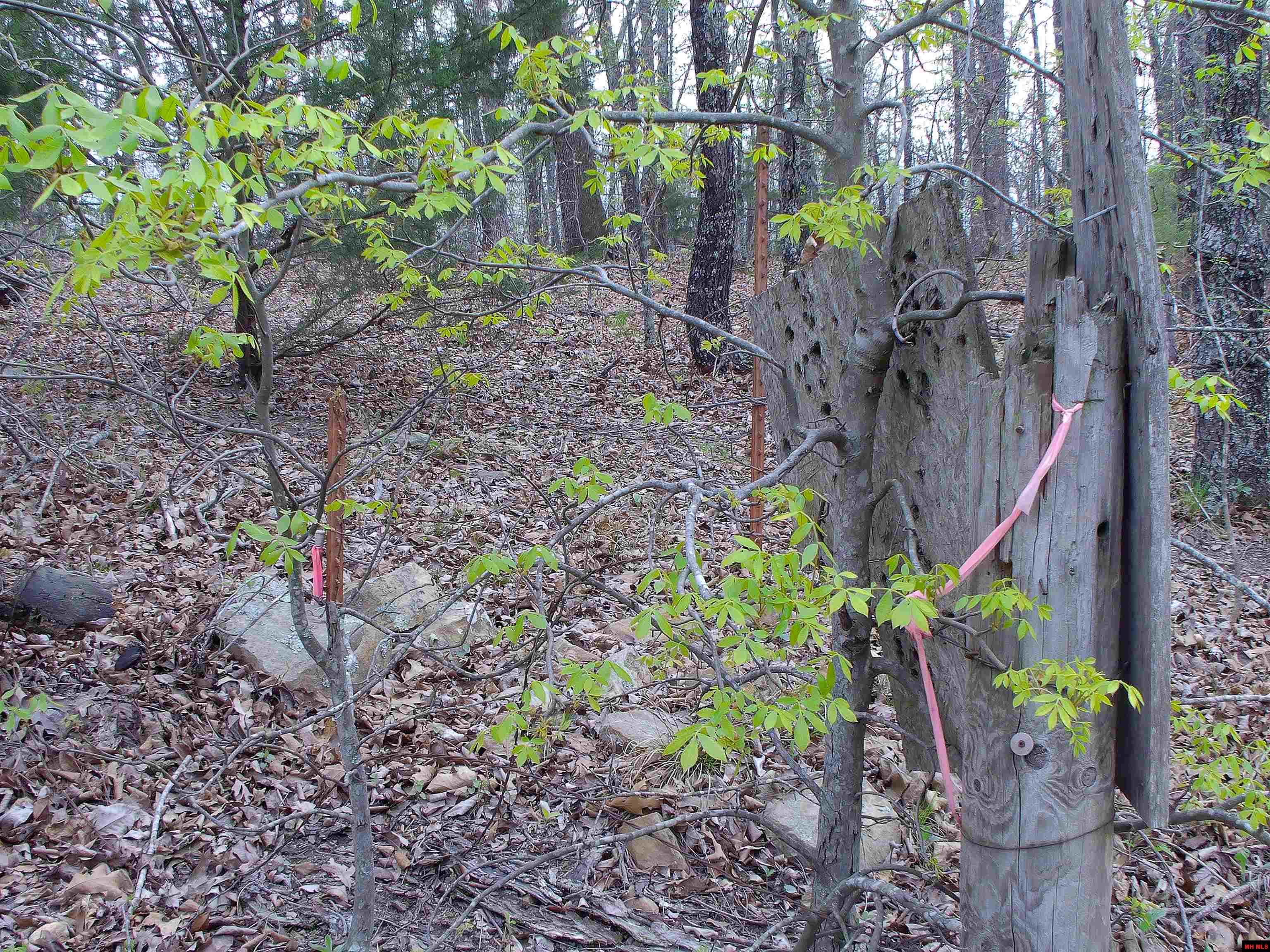 001-05099-000 Young Road