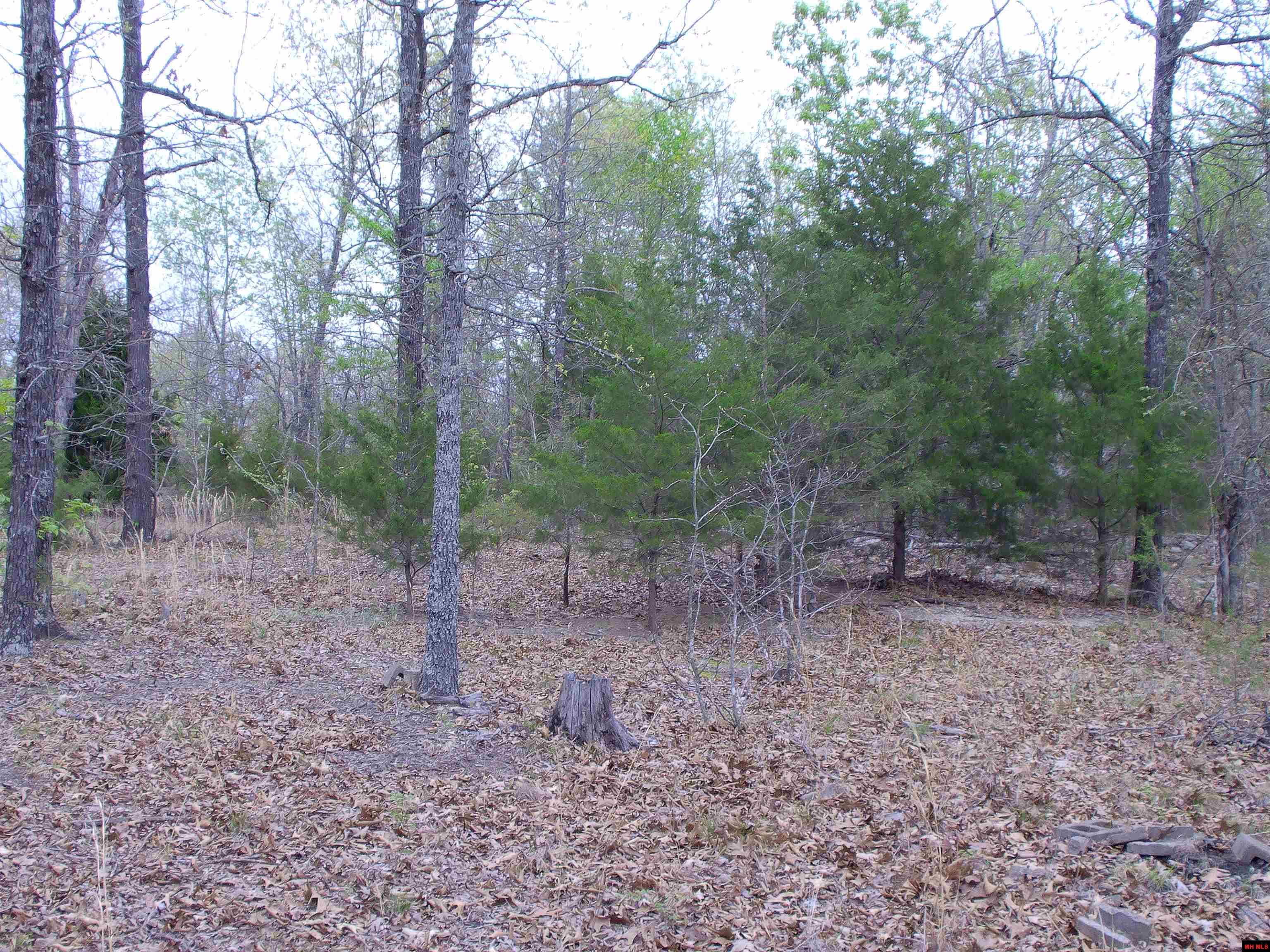 001-05099-000 Young Road