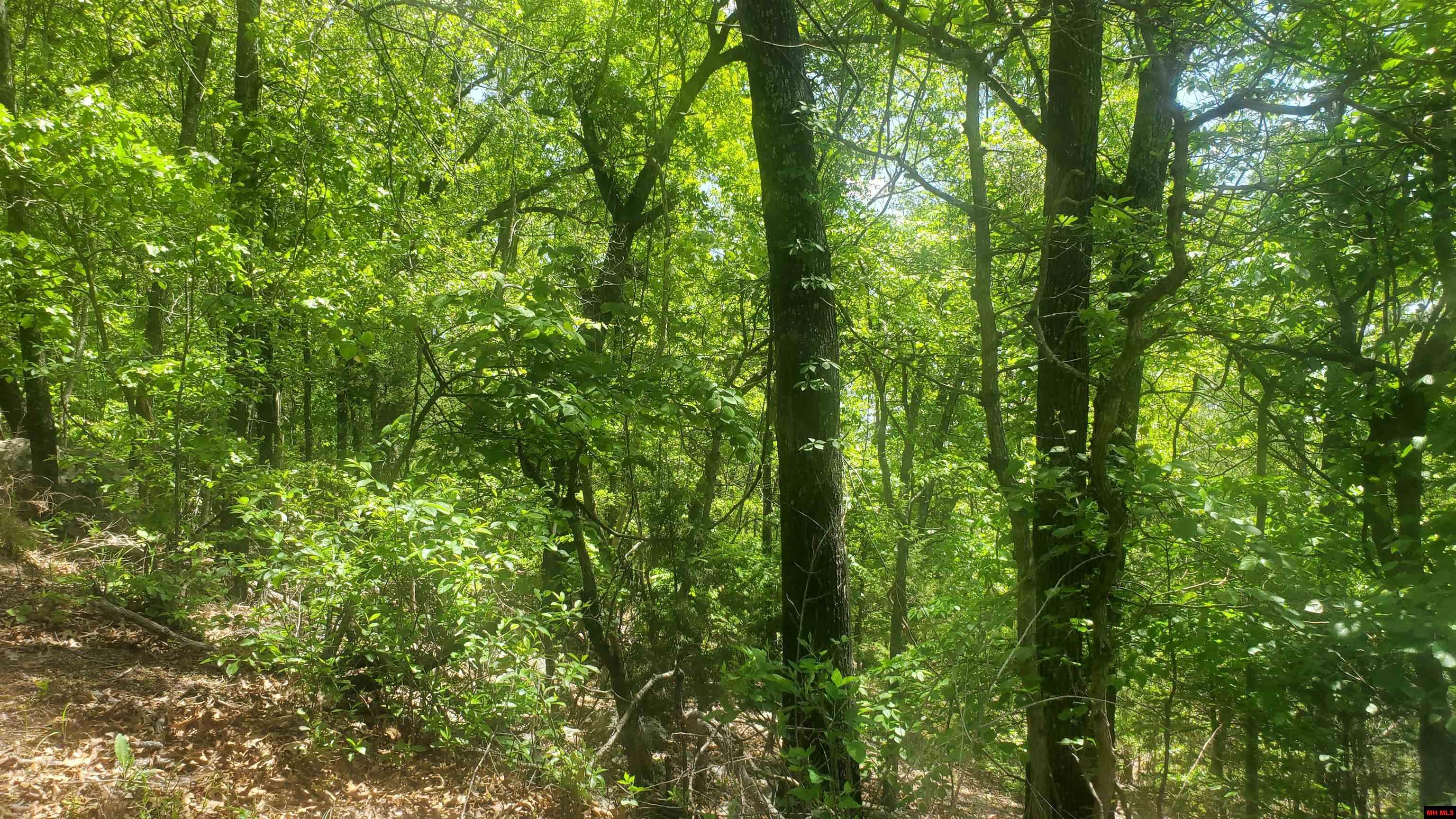 010-01926-095 Glenpike Drive