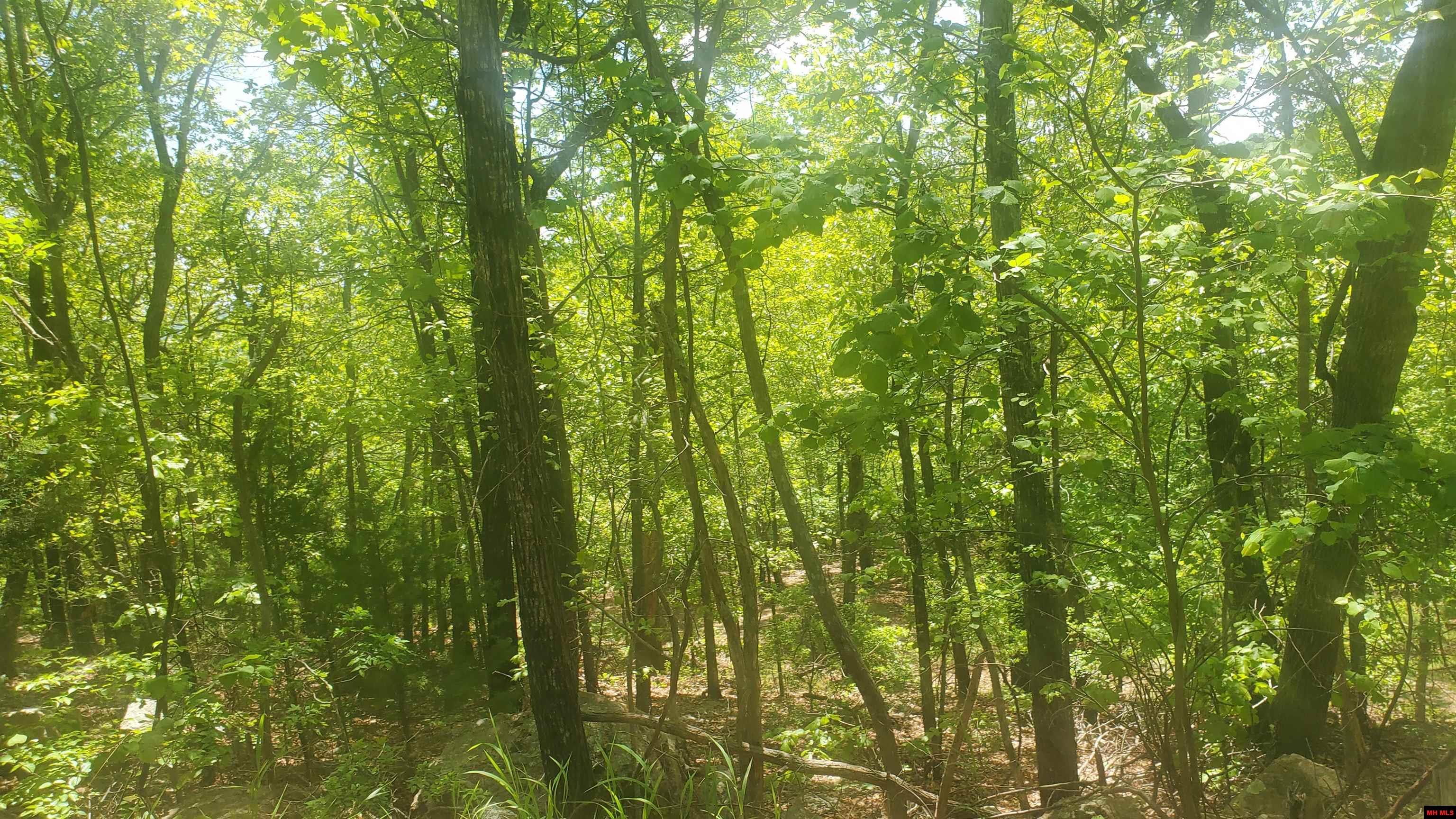 010-01926-095 Glenpike Drive