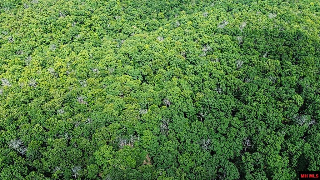 Tract D Sweden Court